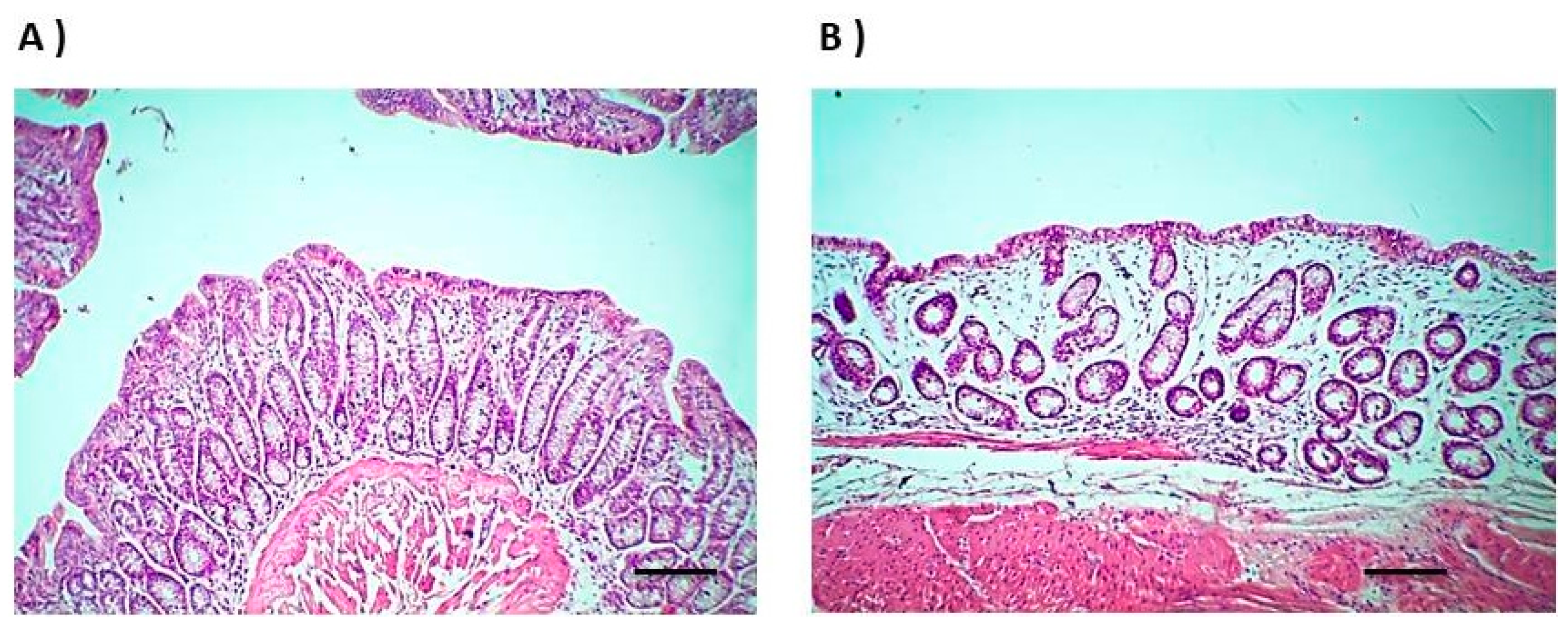 Pharmaceutics 13 00336 g004