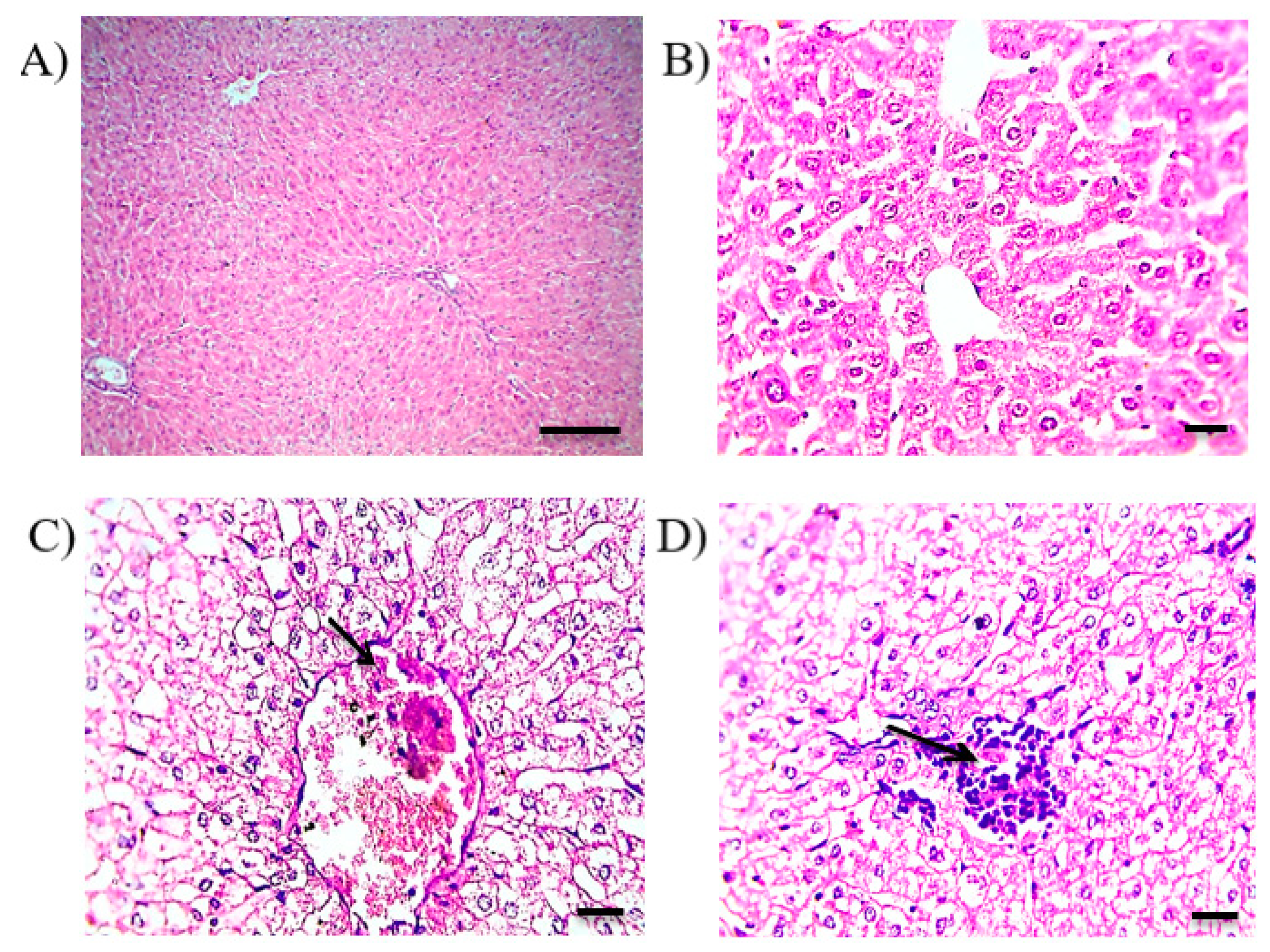 Pharmaceutics 13 00336 g006