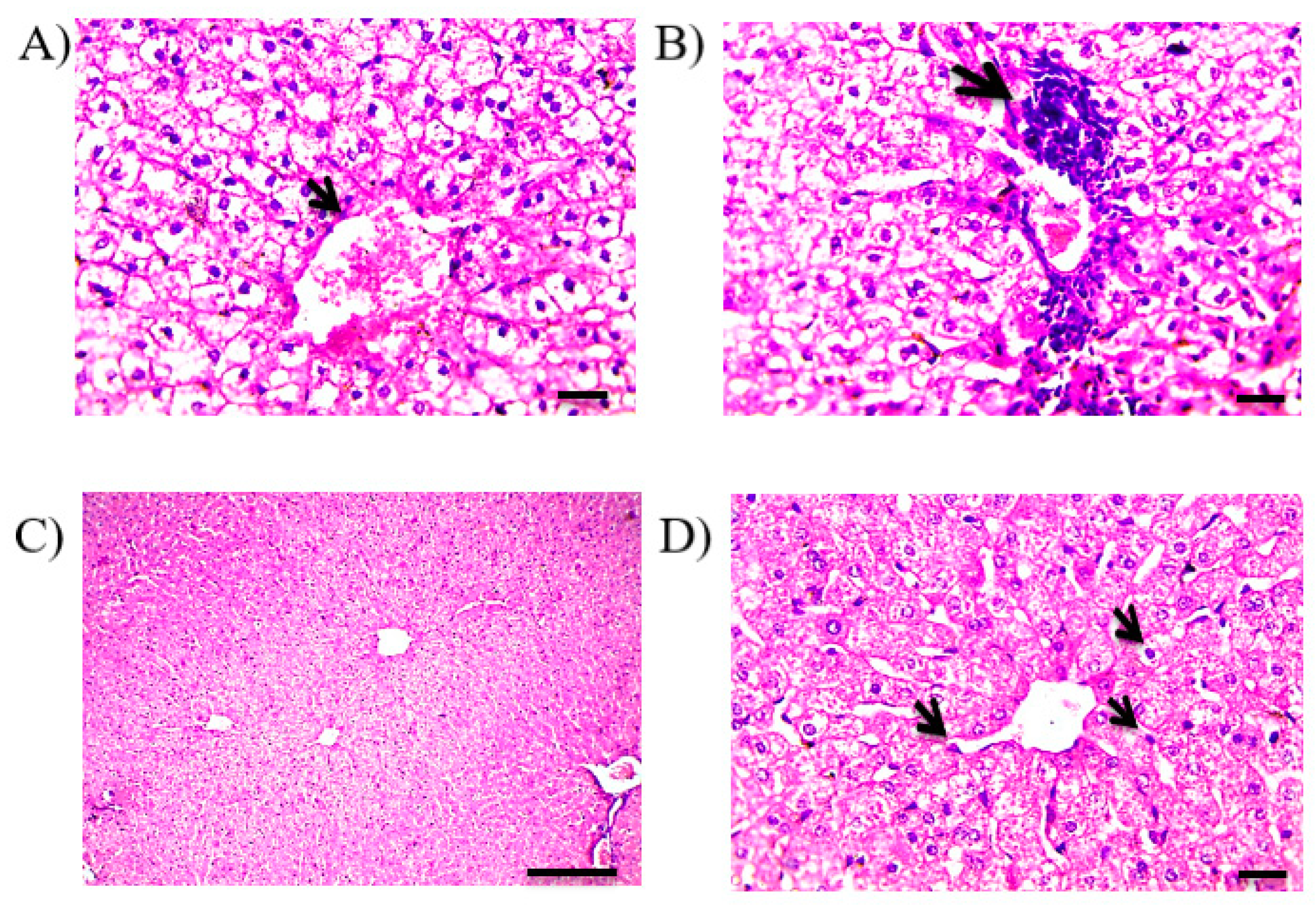 Pharmaceutics 13 00336 g007