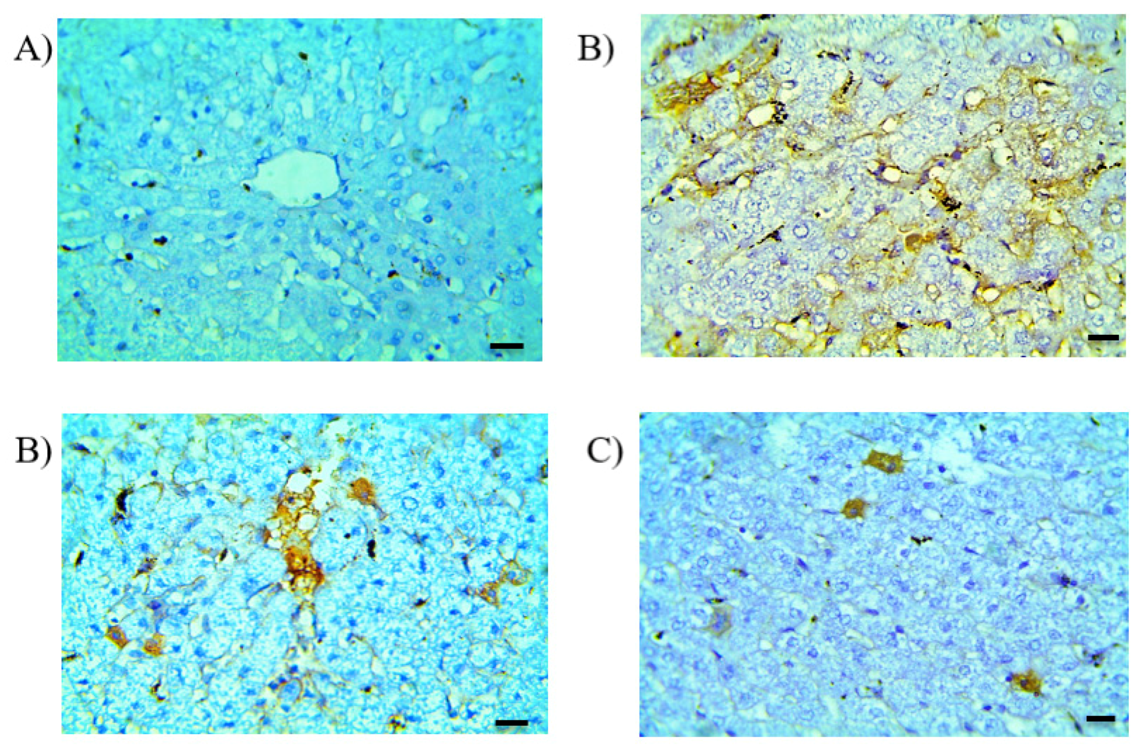 Pharmaceutics 13 00336 g008