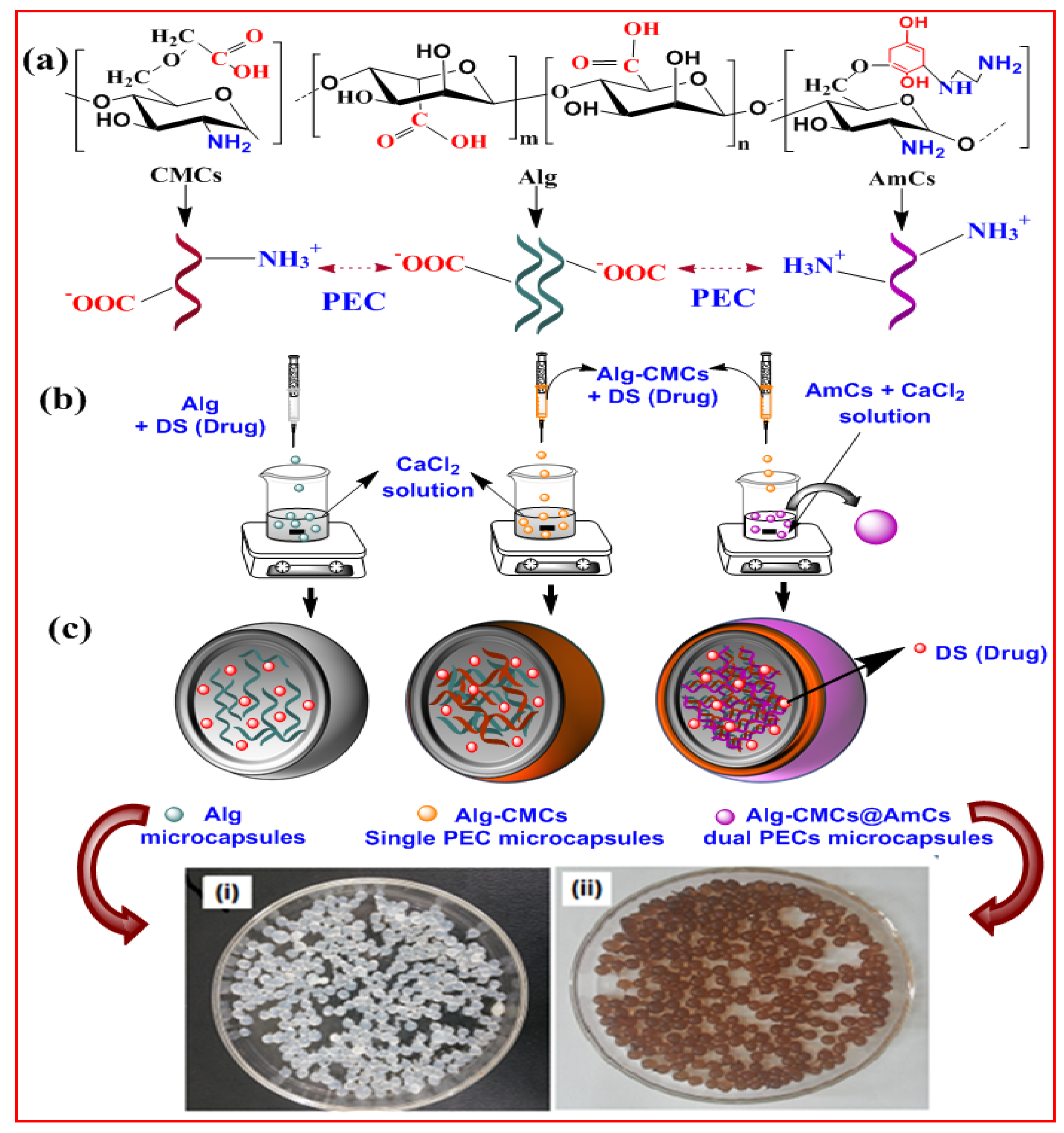 Pharmaceutics 13 00338 g001