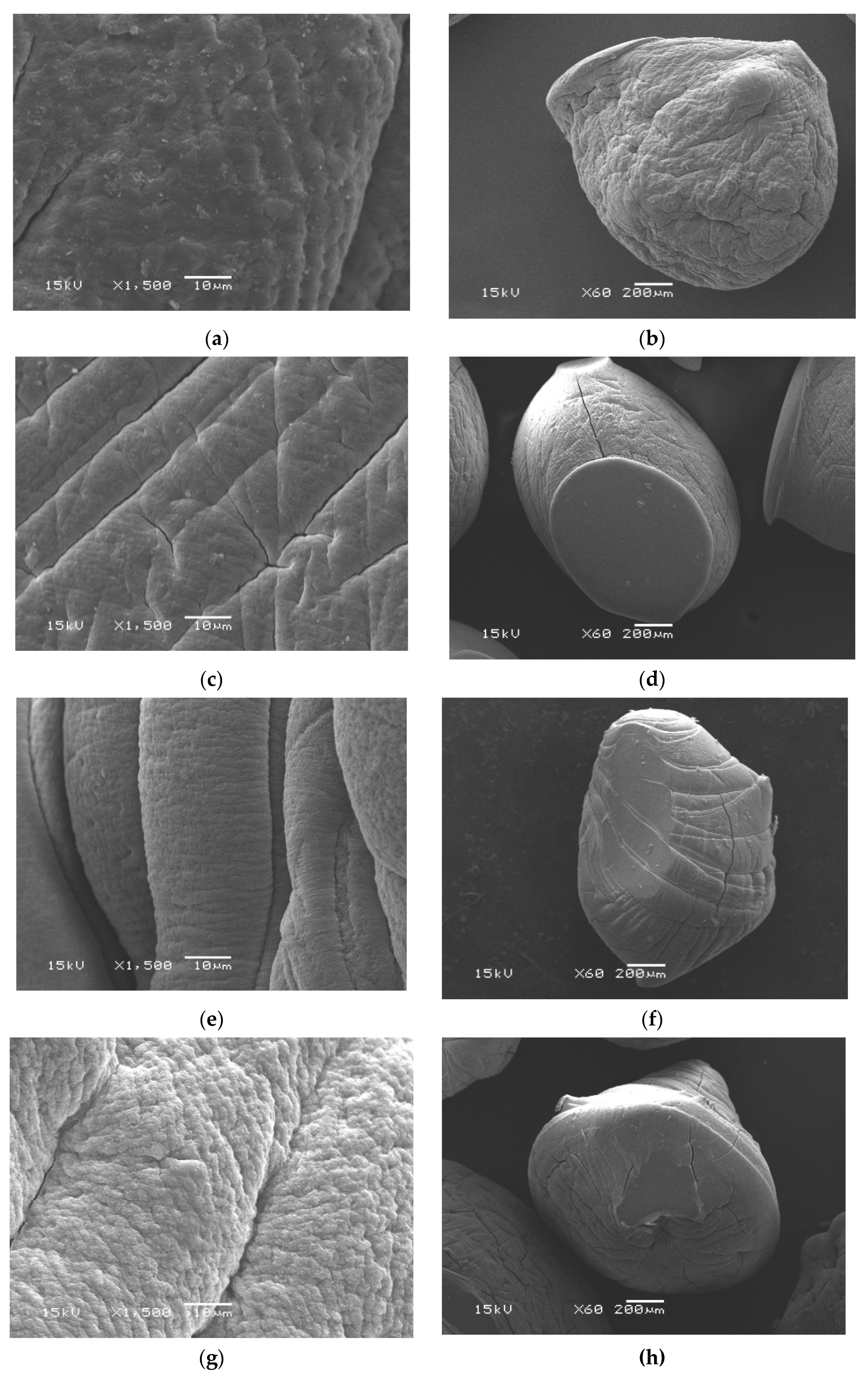 Pharmaceutics 13 00338 g003