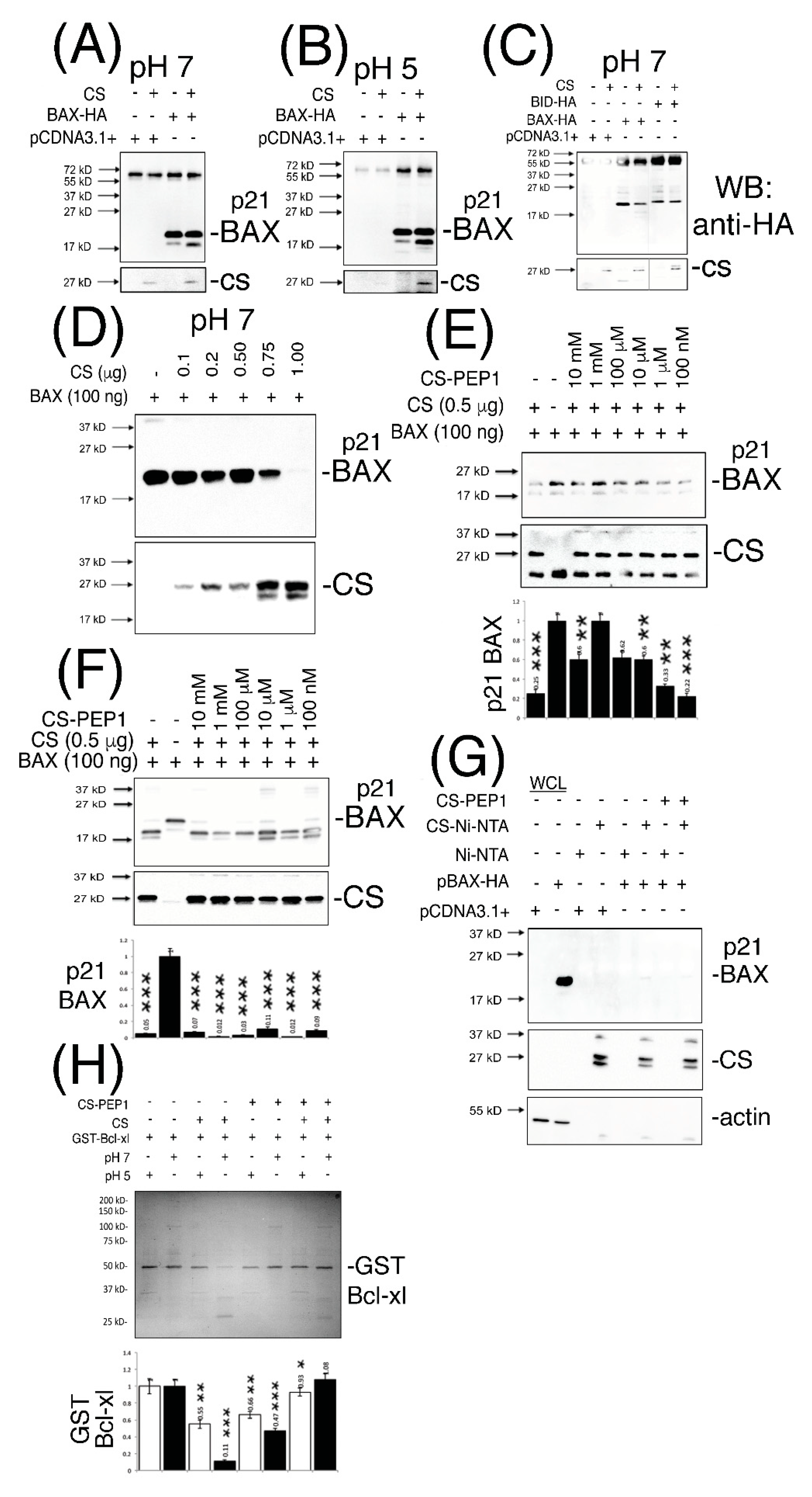 Pharmaceutics 13 00339 g003