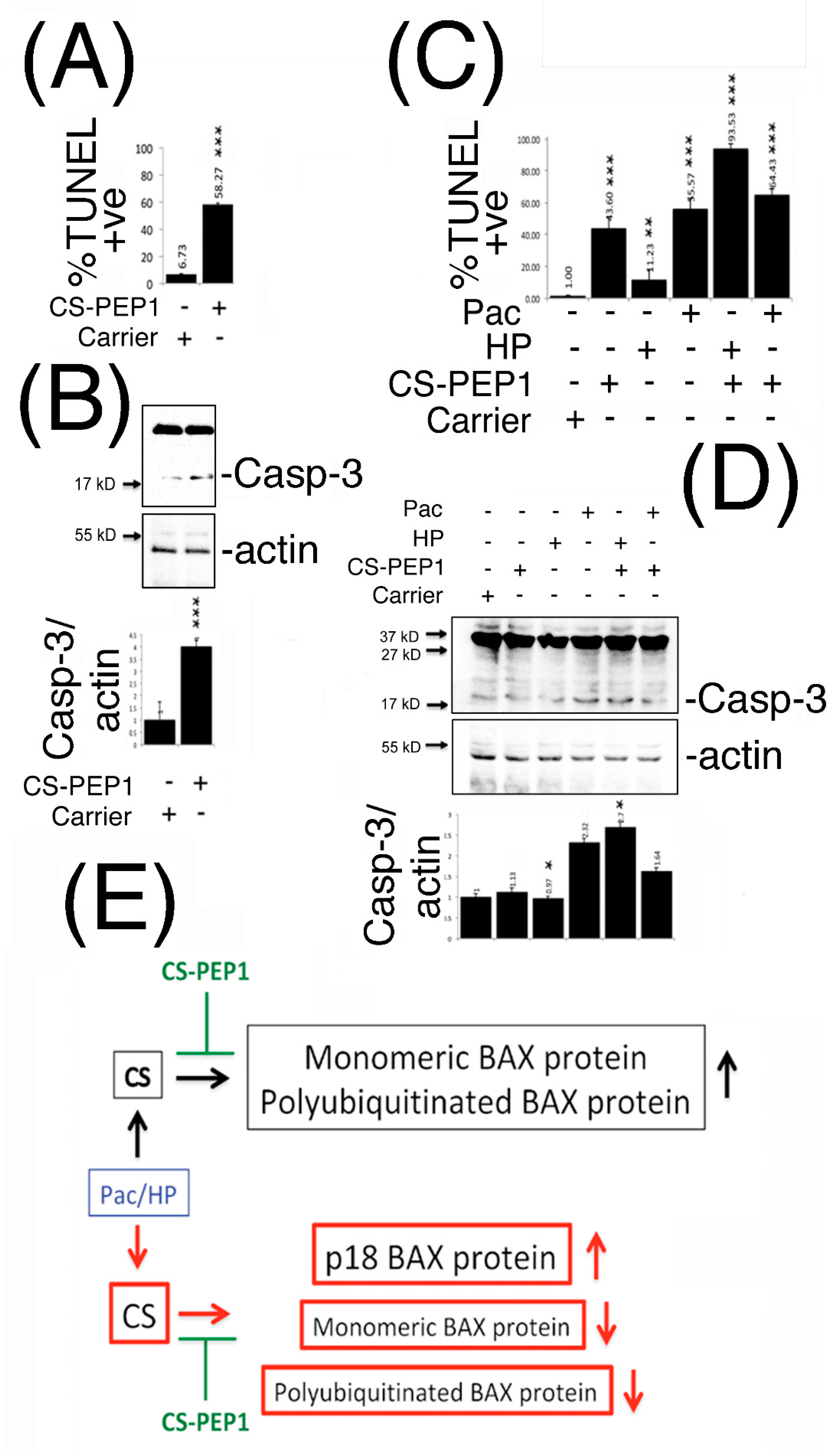 Pharmaceutics 13 00339 g007