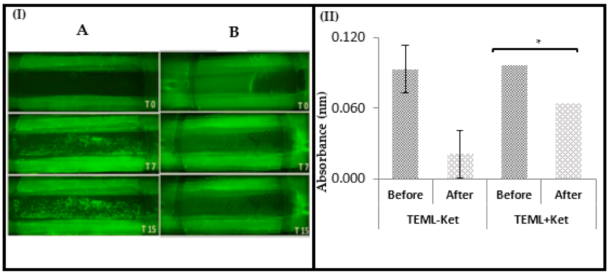 Pharmaceutics 13 00340 g006