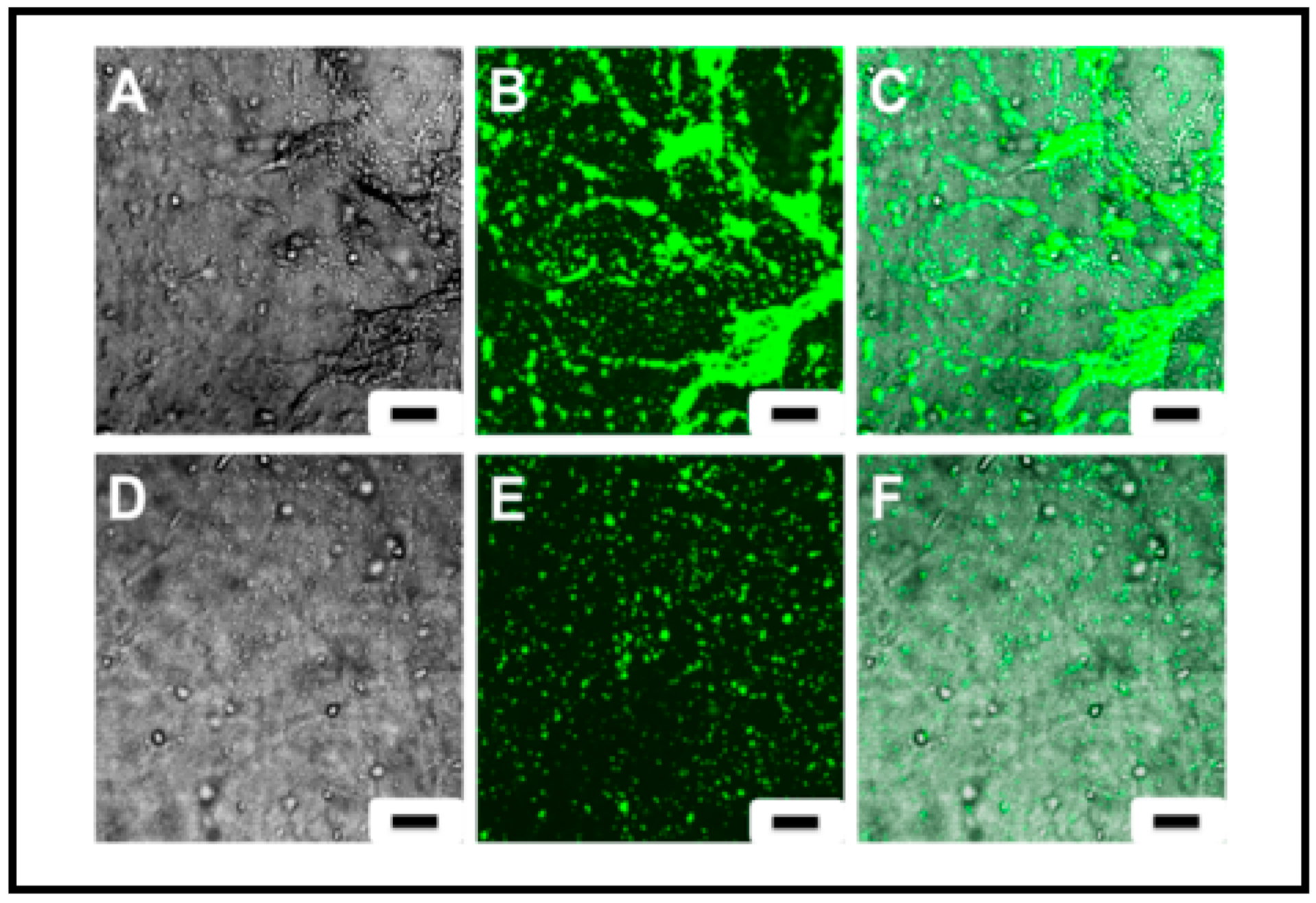 Pharmaceutics 13 00340 g007