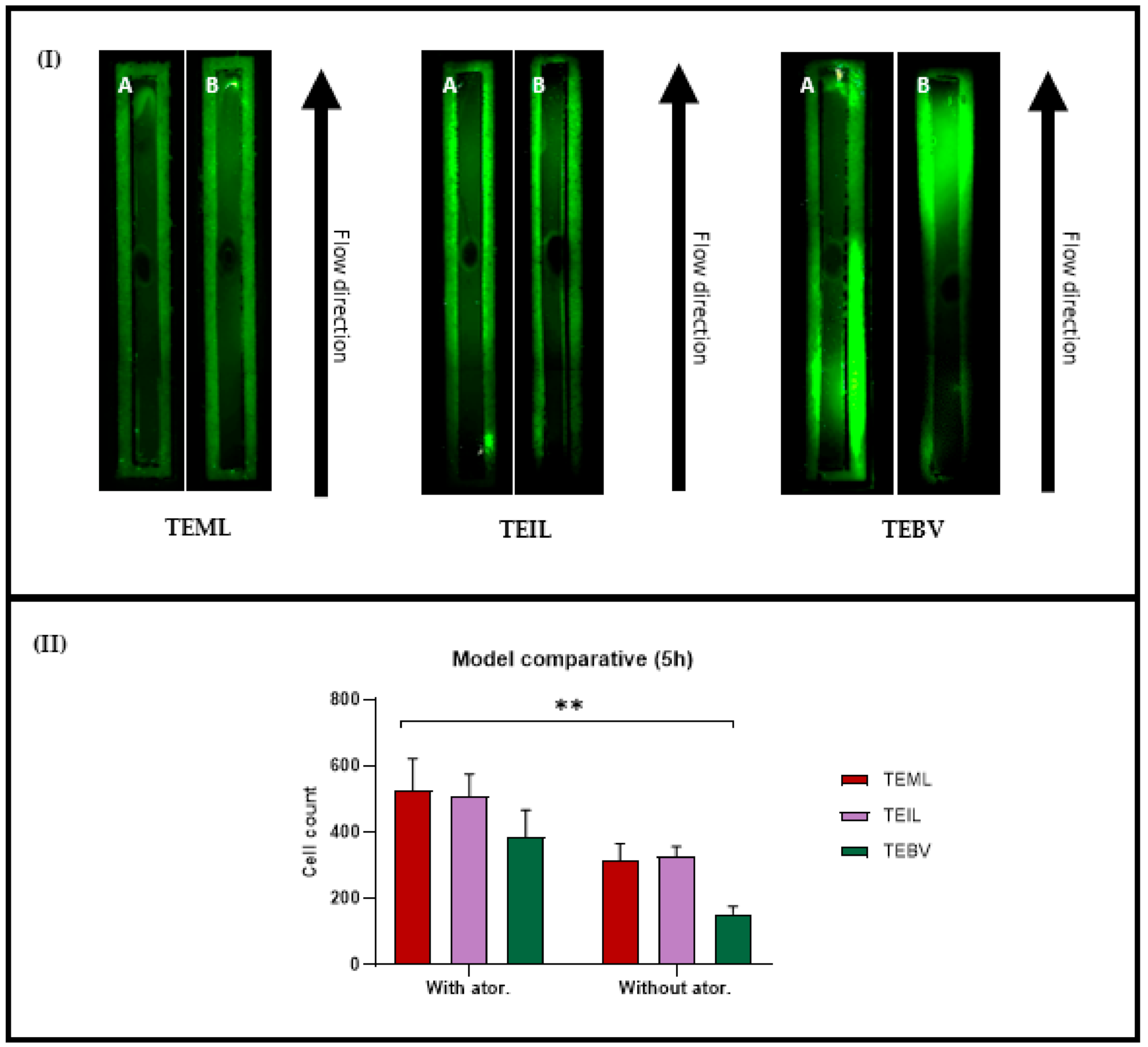 Pharmaceutics 13 00340 g008