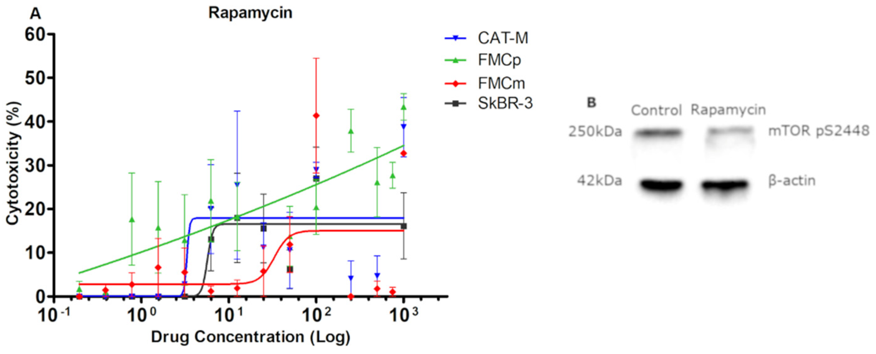 Pharmaceutics 13 00346 g003