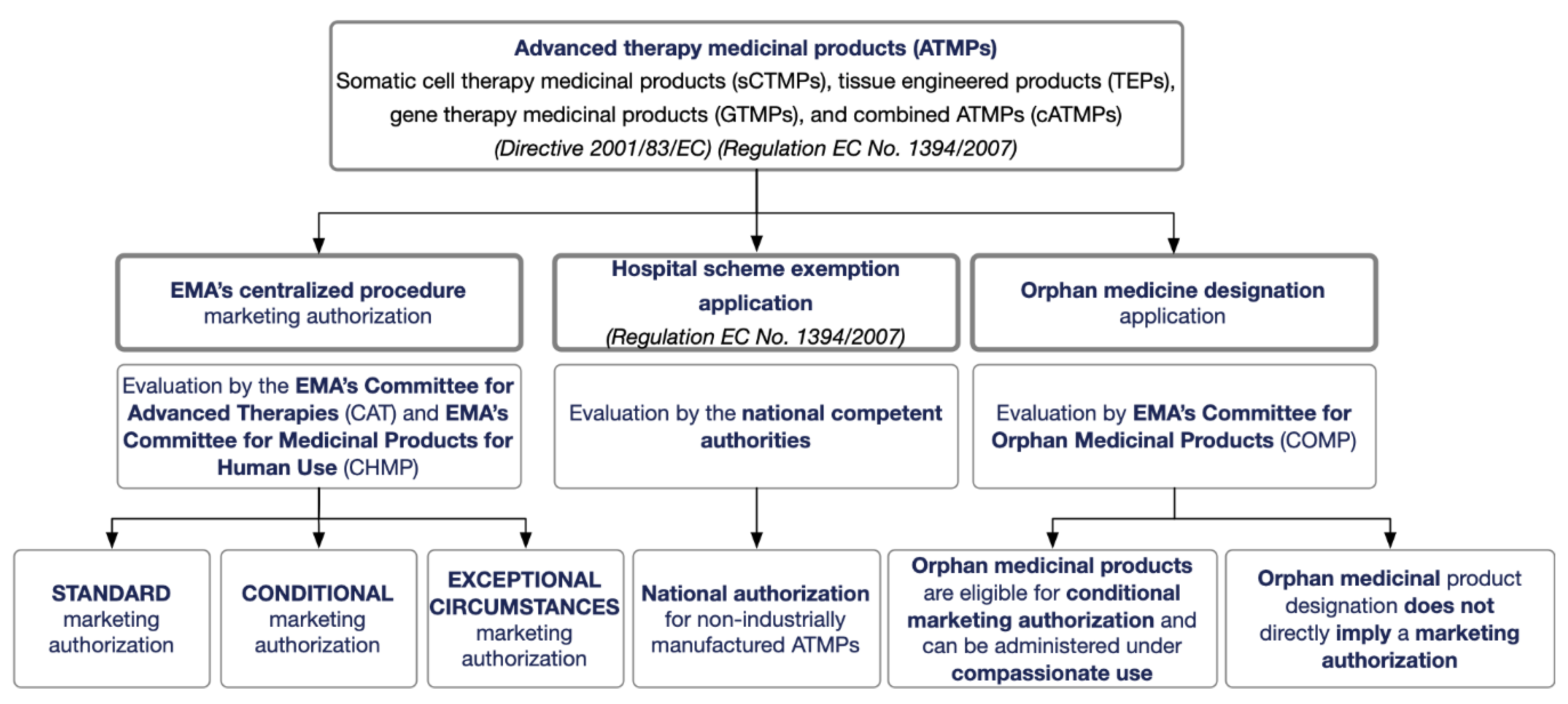 Pharmaceutics 13 00347 g001