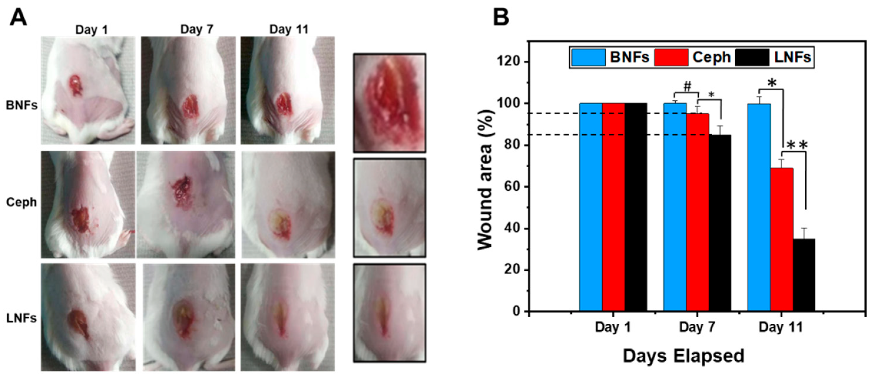 Pharmaceutics 13 00349 g009
