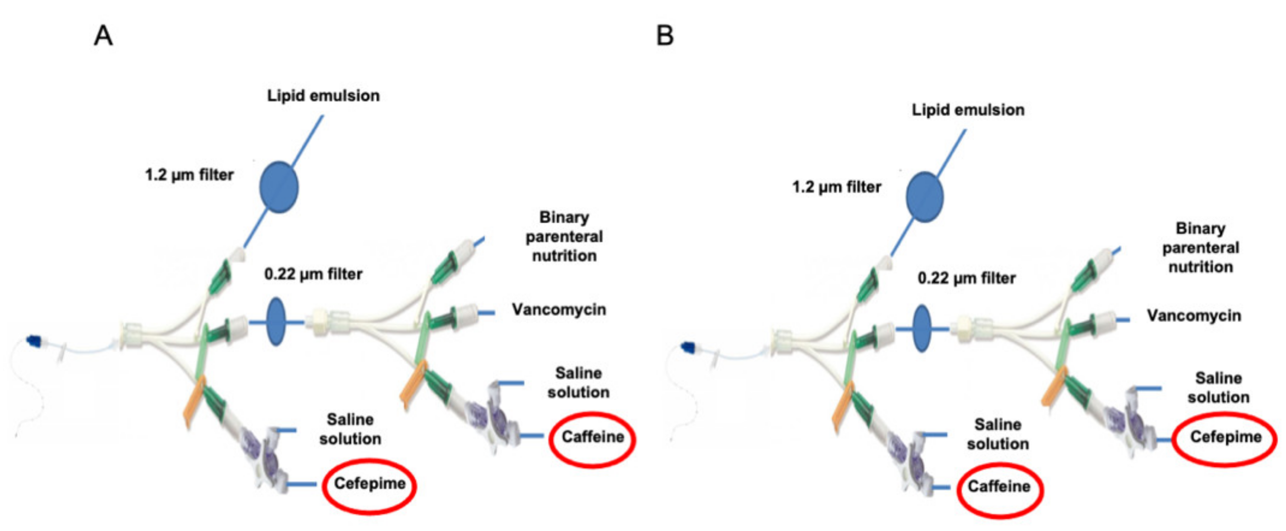 Pharmaceutics 13 00351 g001