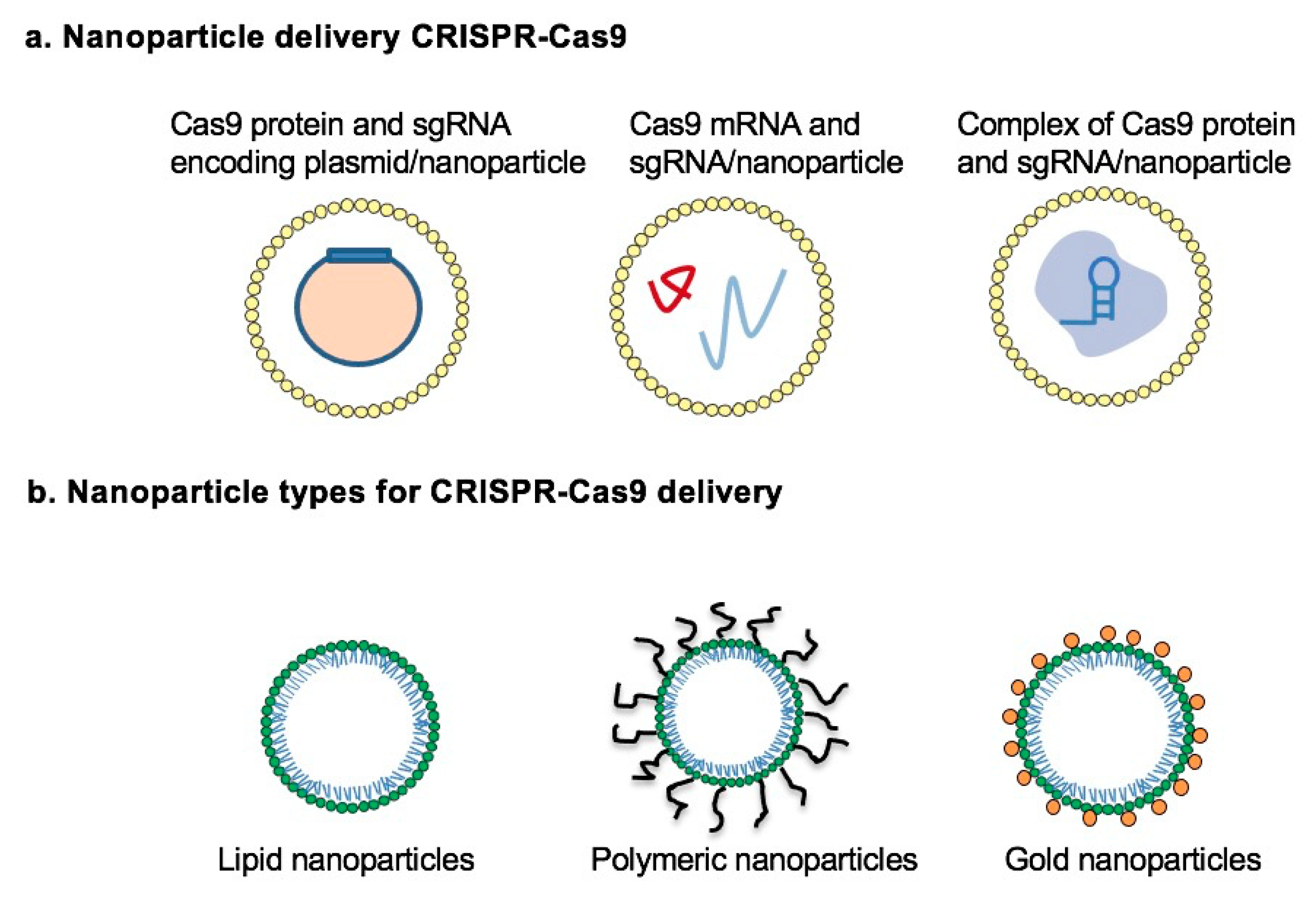 Pharmaceutics 13 00352 g005