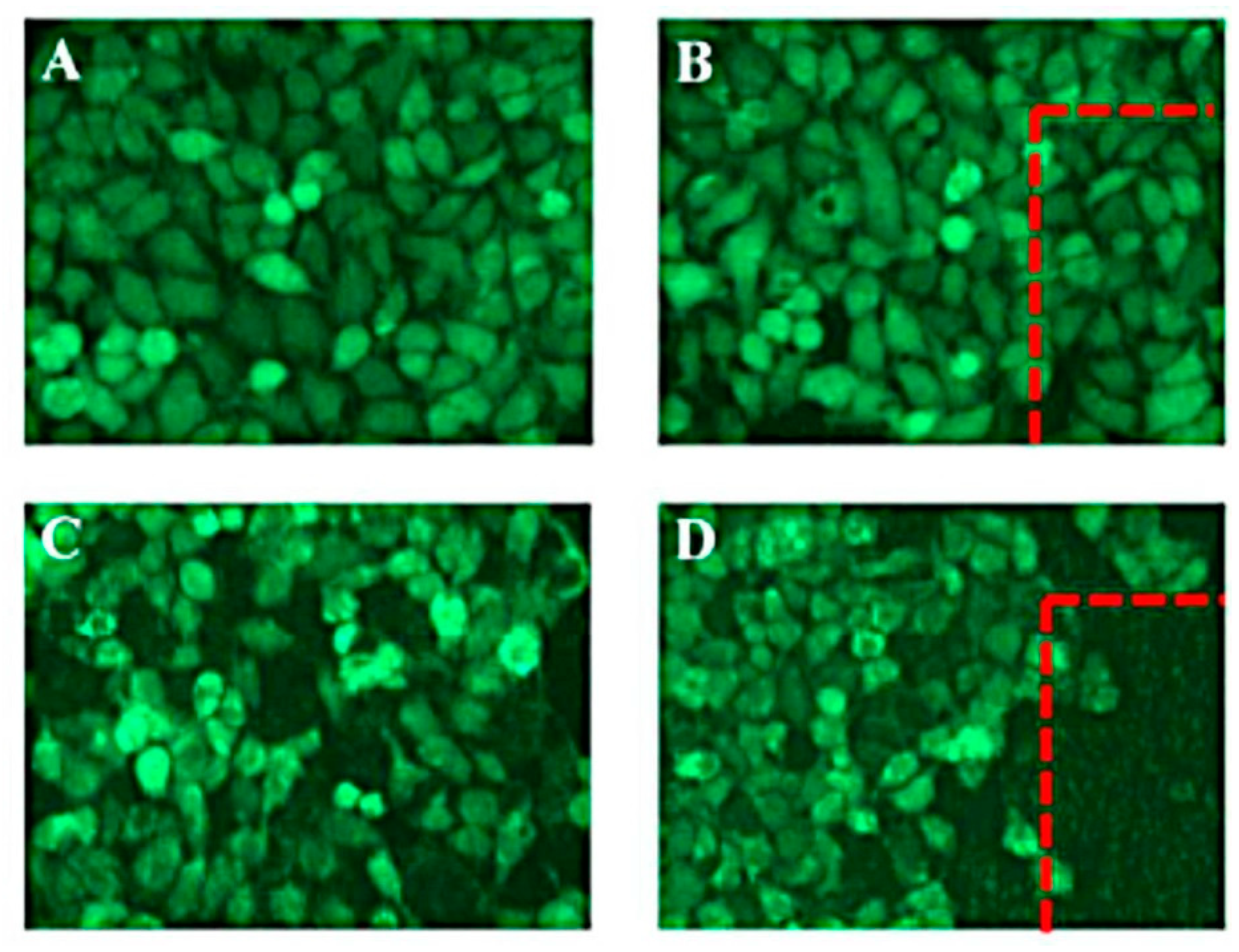Pharmaceutics 13 00355 g001 Pharmaceutics 13 00355 g001