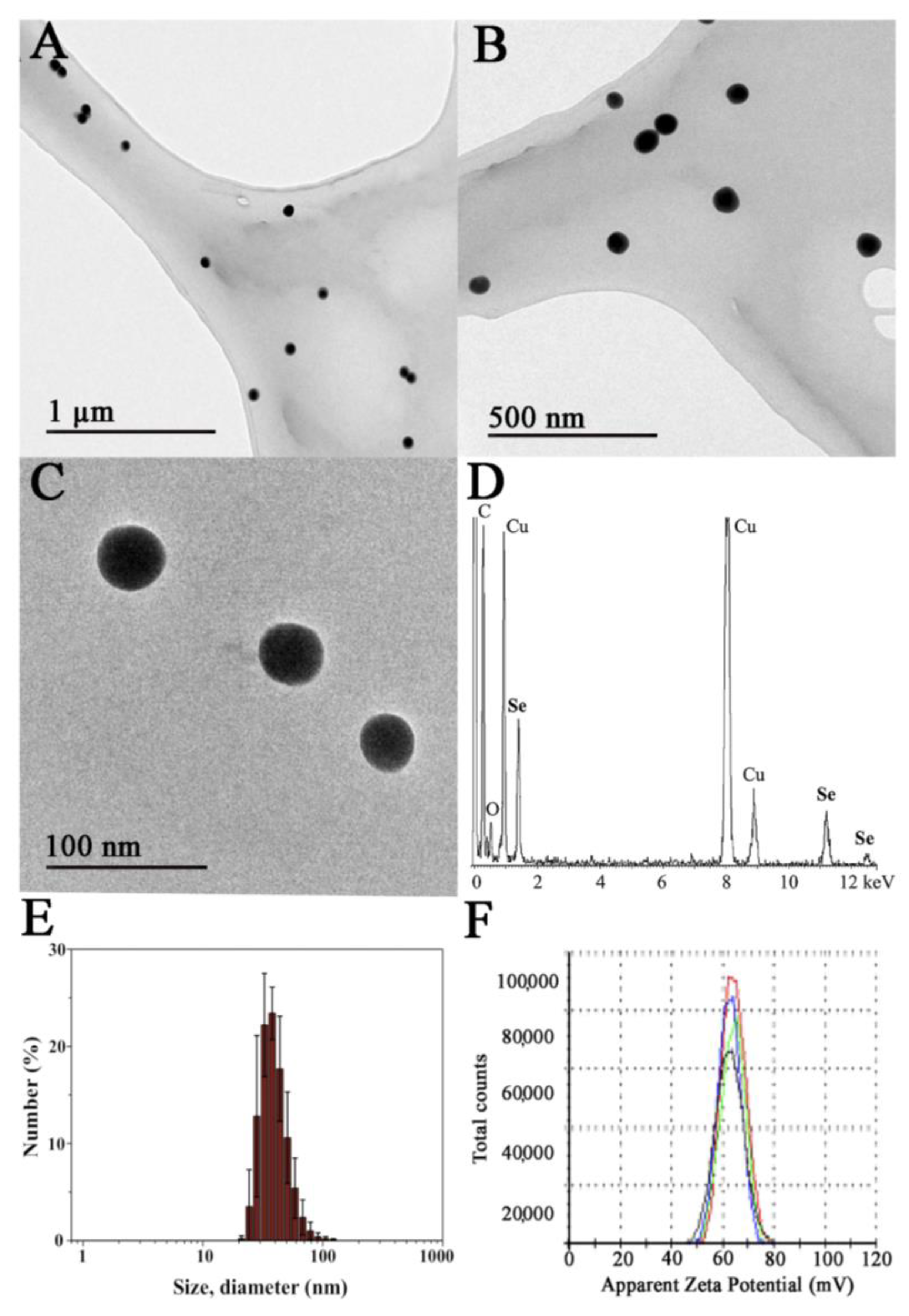 Pharmaceutics 13 00356 g001 Pharmaceutics 13 00356 g001