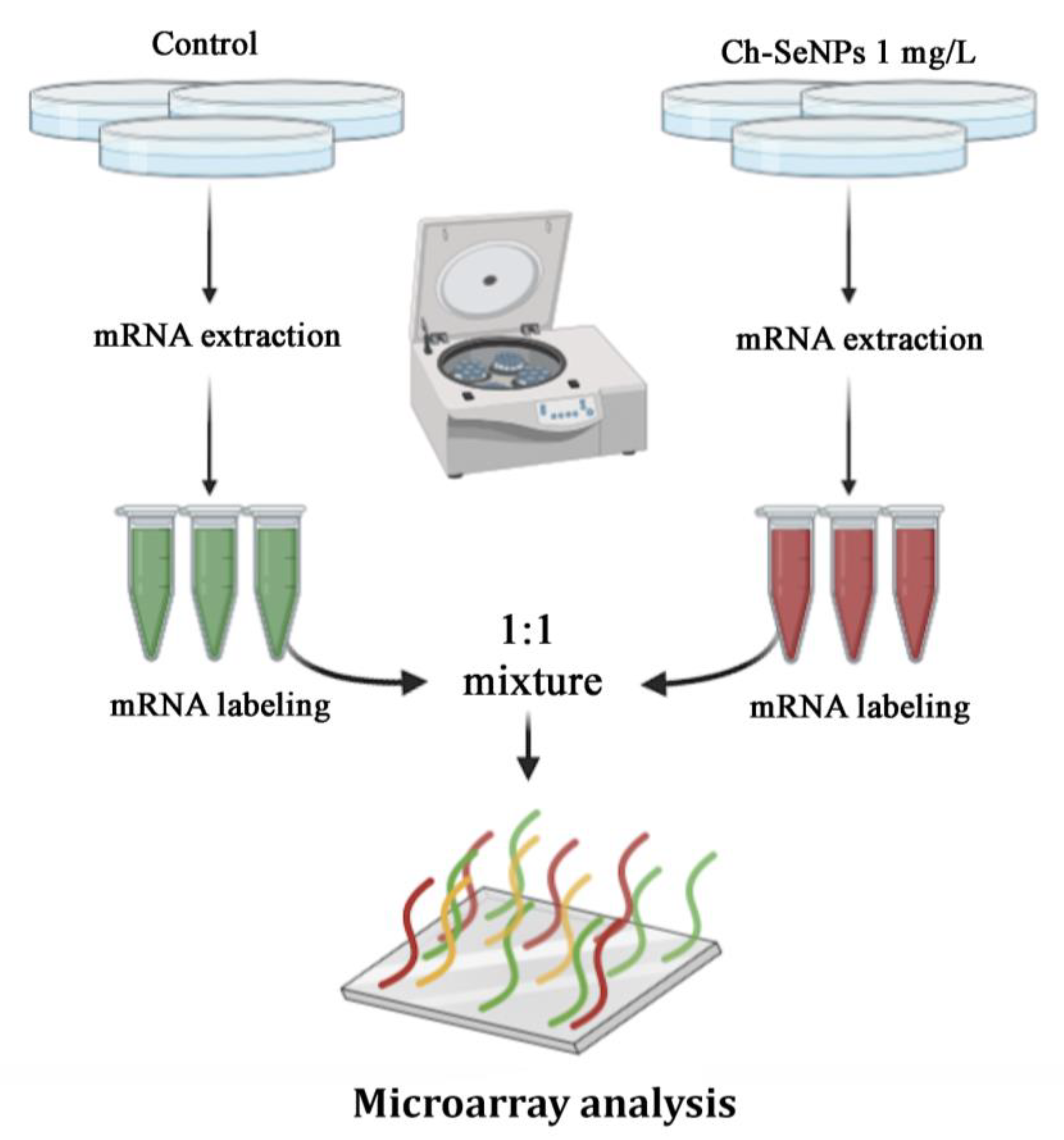 Pharmaceutics 13 00356 g003 Pharmaceutics 13 00356 g003