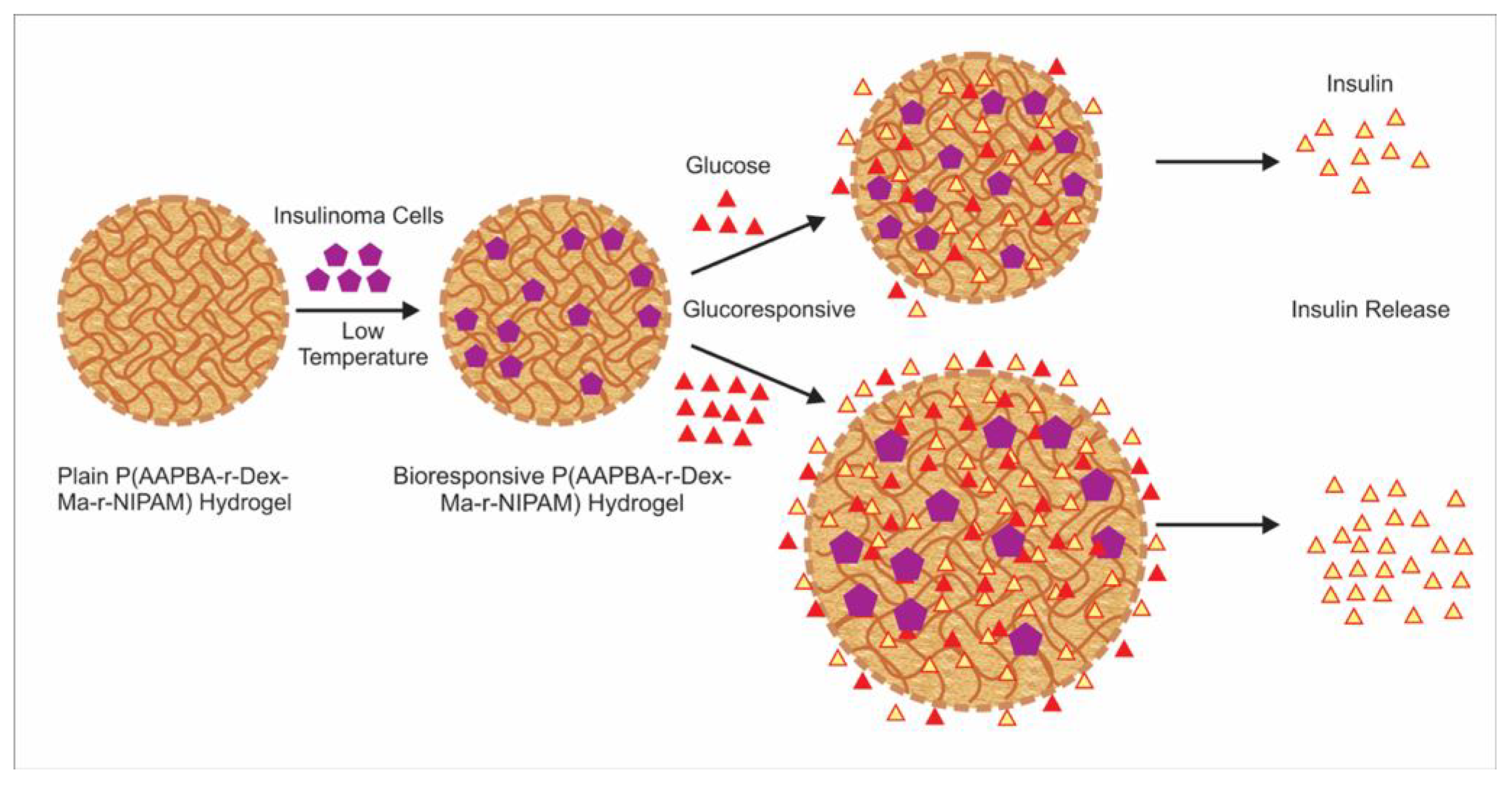 Pharmaceutics 13 00357 g001