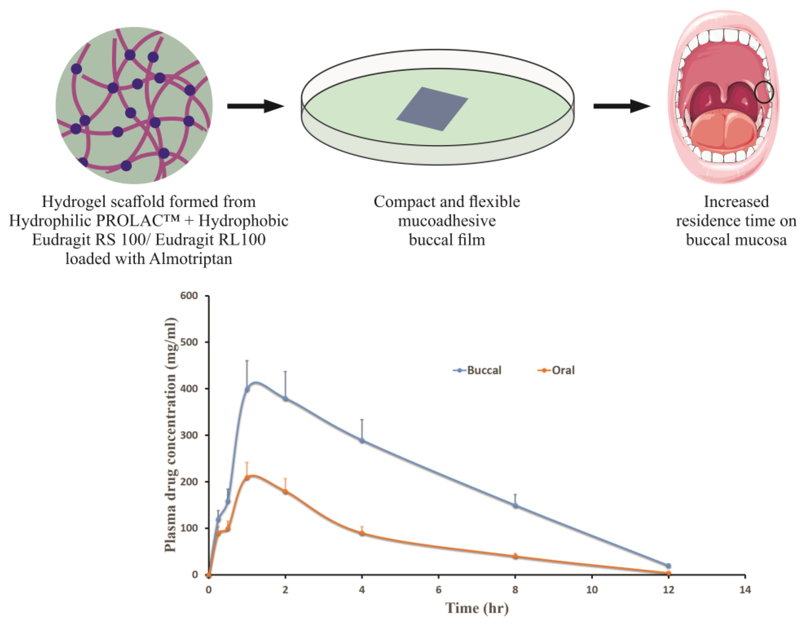 Pharmaceutics 13 00357 g004