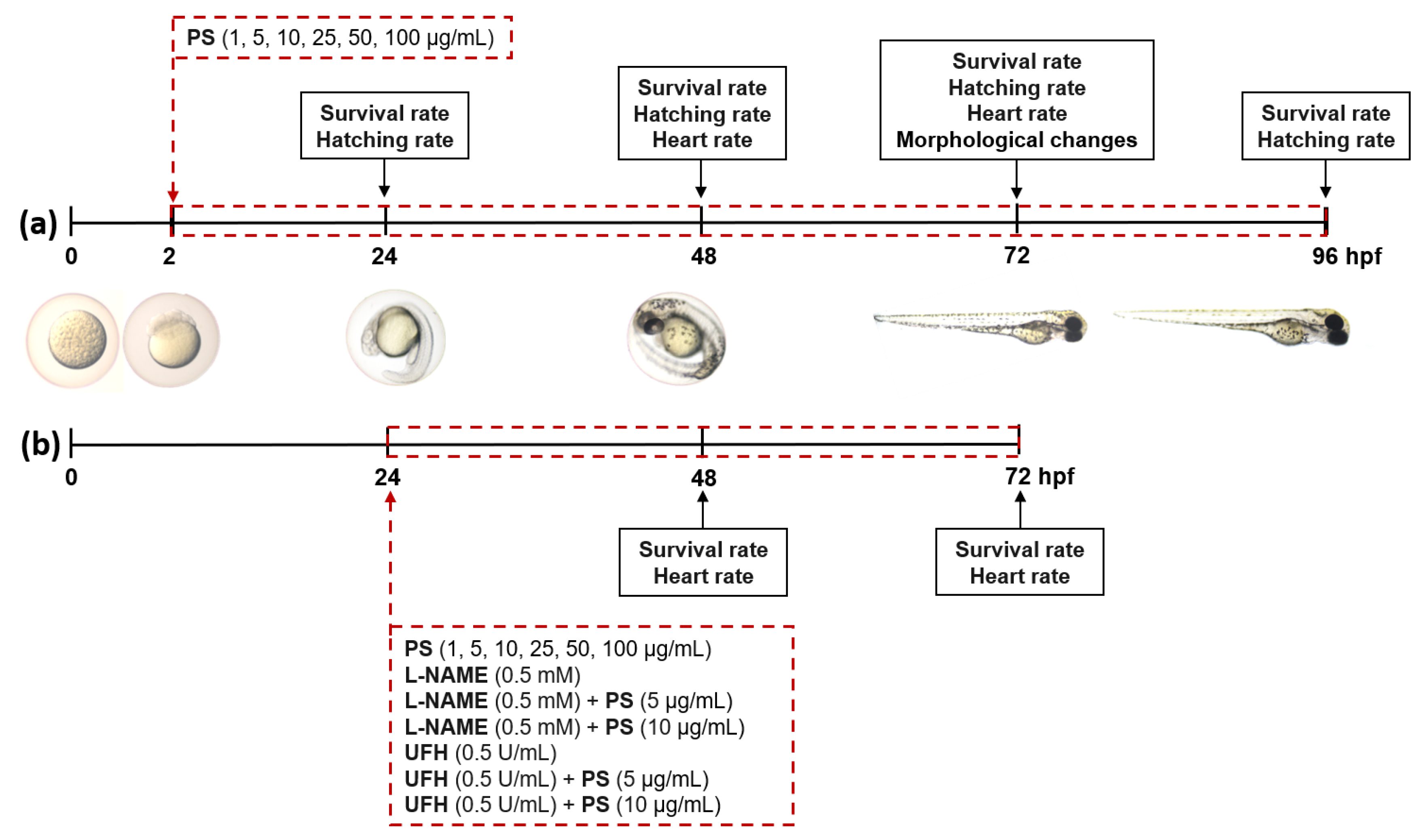 Pharmaceutics 13 00359 g001 Pharmaceutics 13 00359 g001