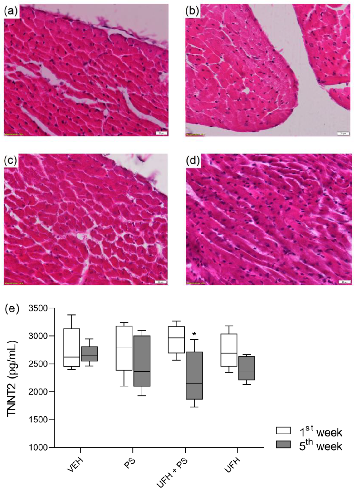 Pharmaceutics 13 00359 g013 Pharmaceutics 13 00359 g013