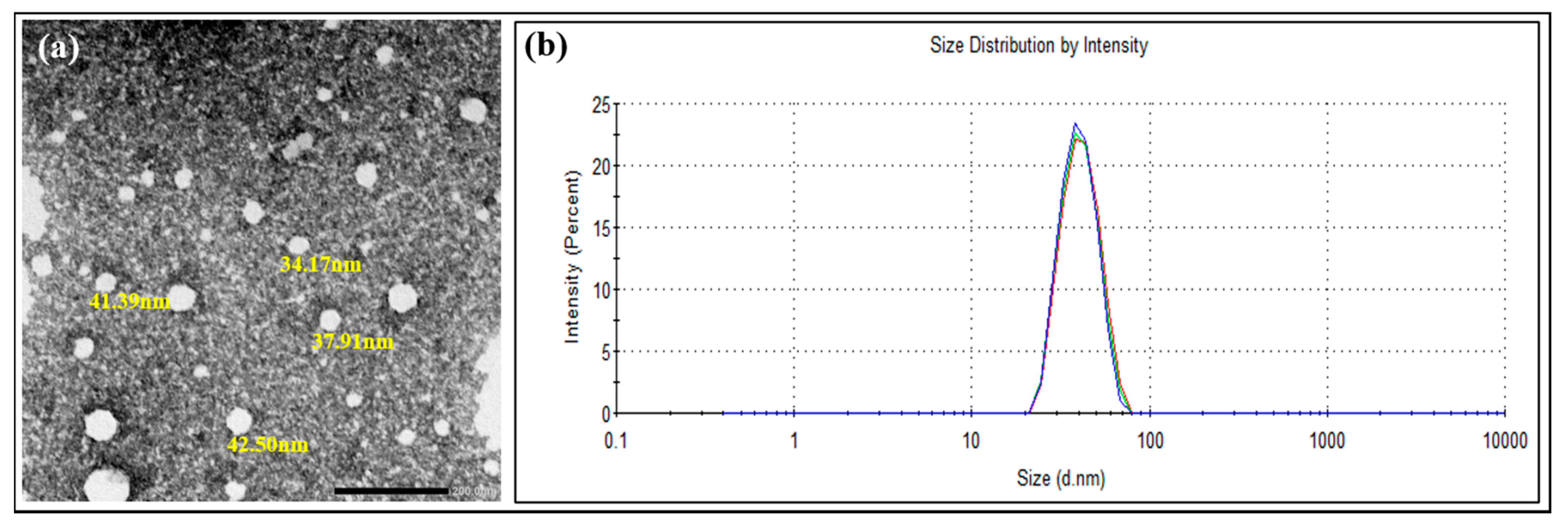 Pharmaceutics 13 00360 g001 Pharmaceutics 13 00360 g001