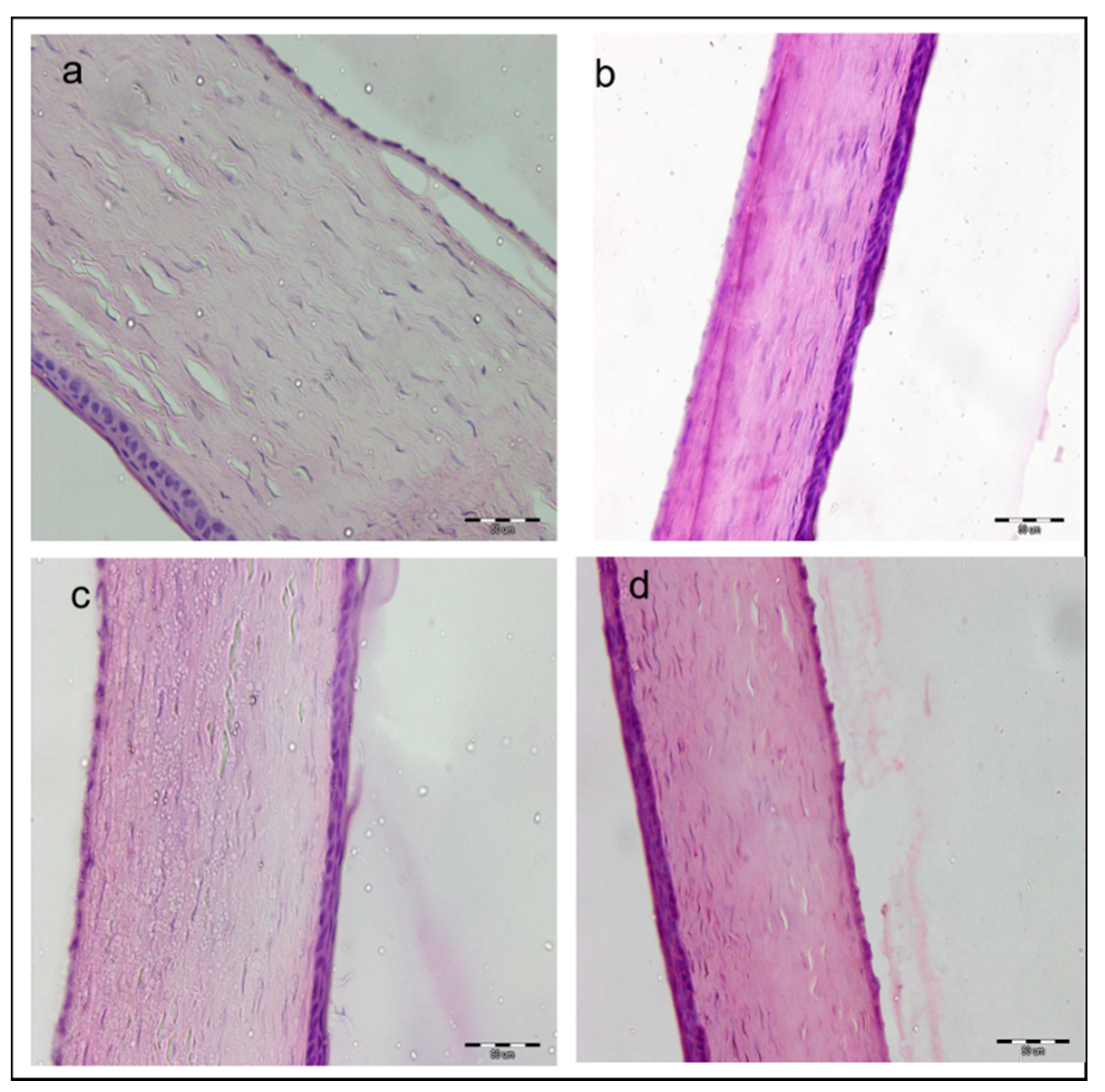 Pharmaceutics 13 00360 g007 Pharmaceutics 13 00360 g007