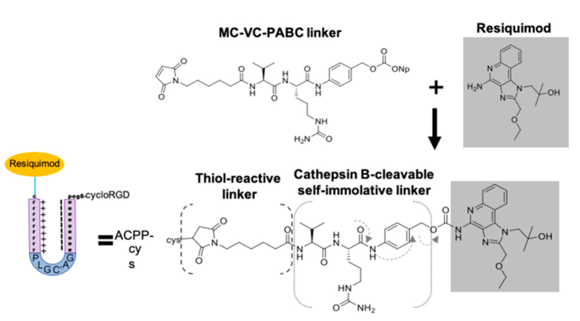 Pharmaceutics 13 00365 g004 Pharmaceutics 13 00365 g004