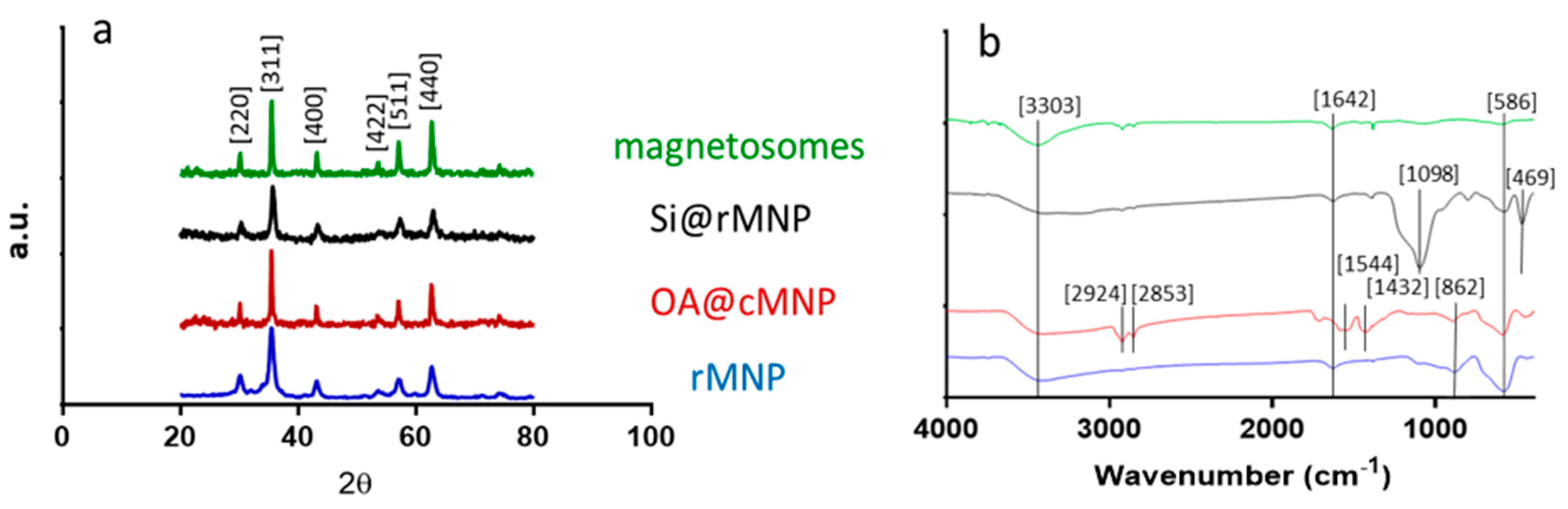Pharmaceutics 13 00367 g003