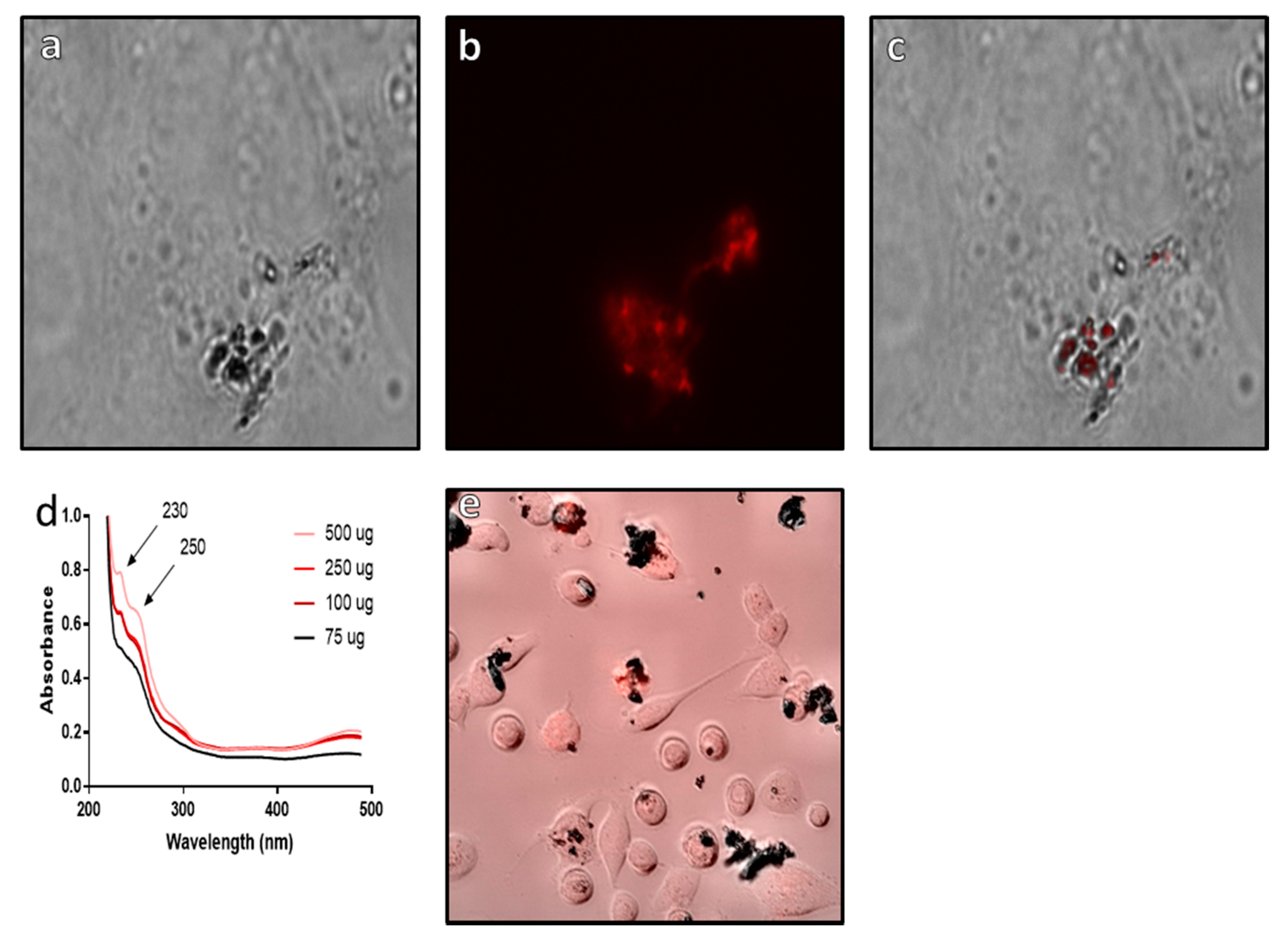 Pharmaceutics 13 00367 g008
