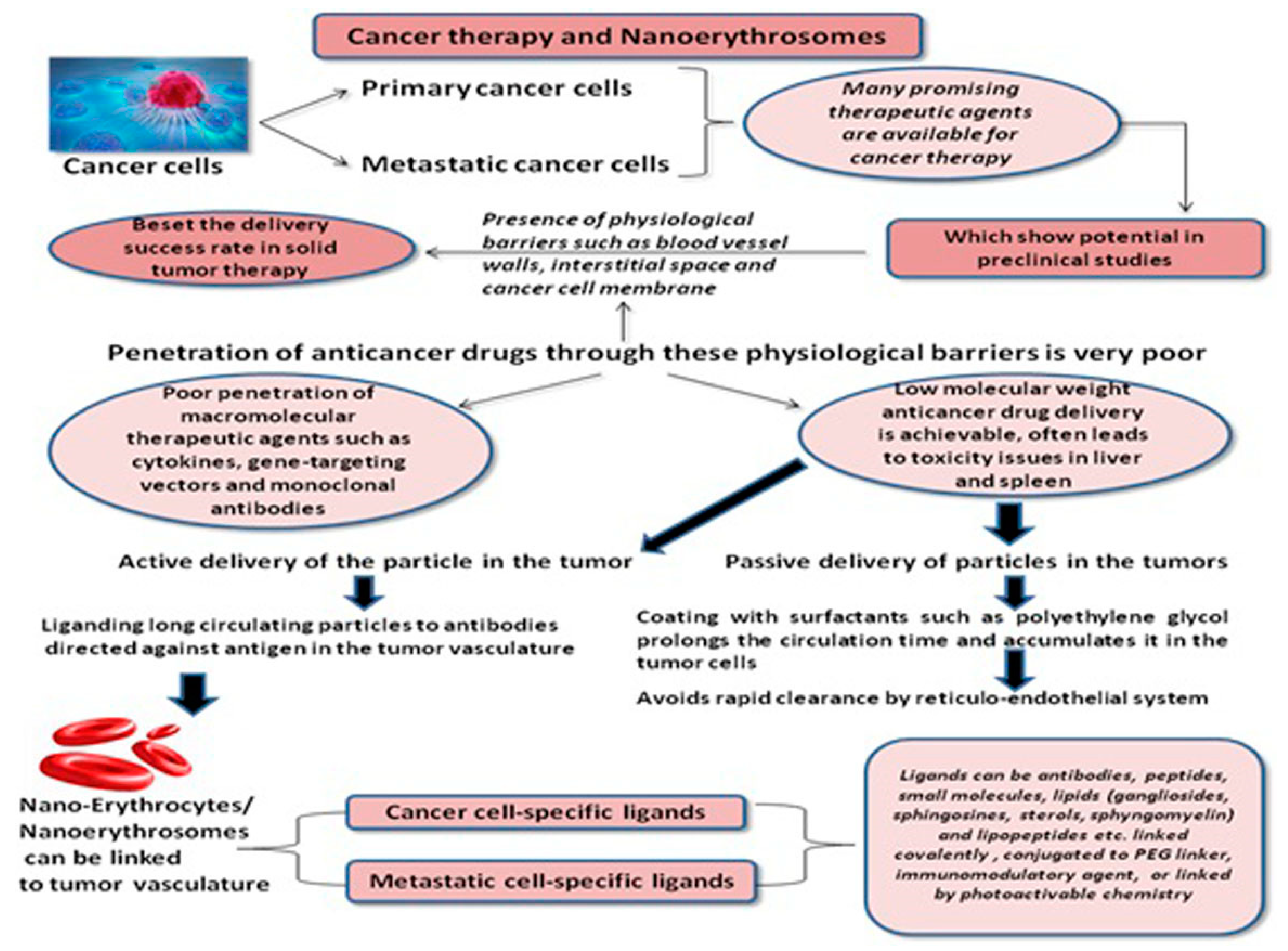 Pharmaceutics 13 00368 g002 Pharmaceutics 13 00368 g002