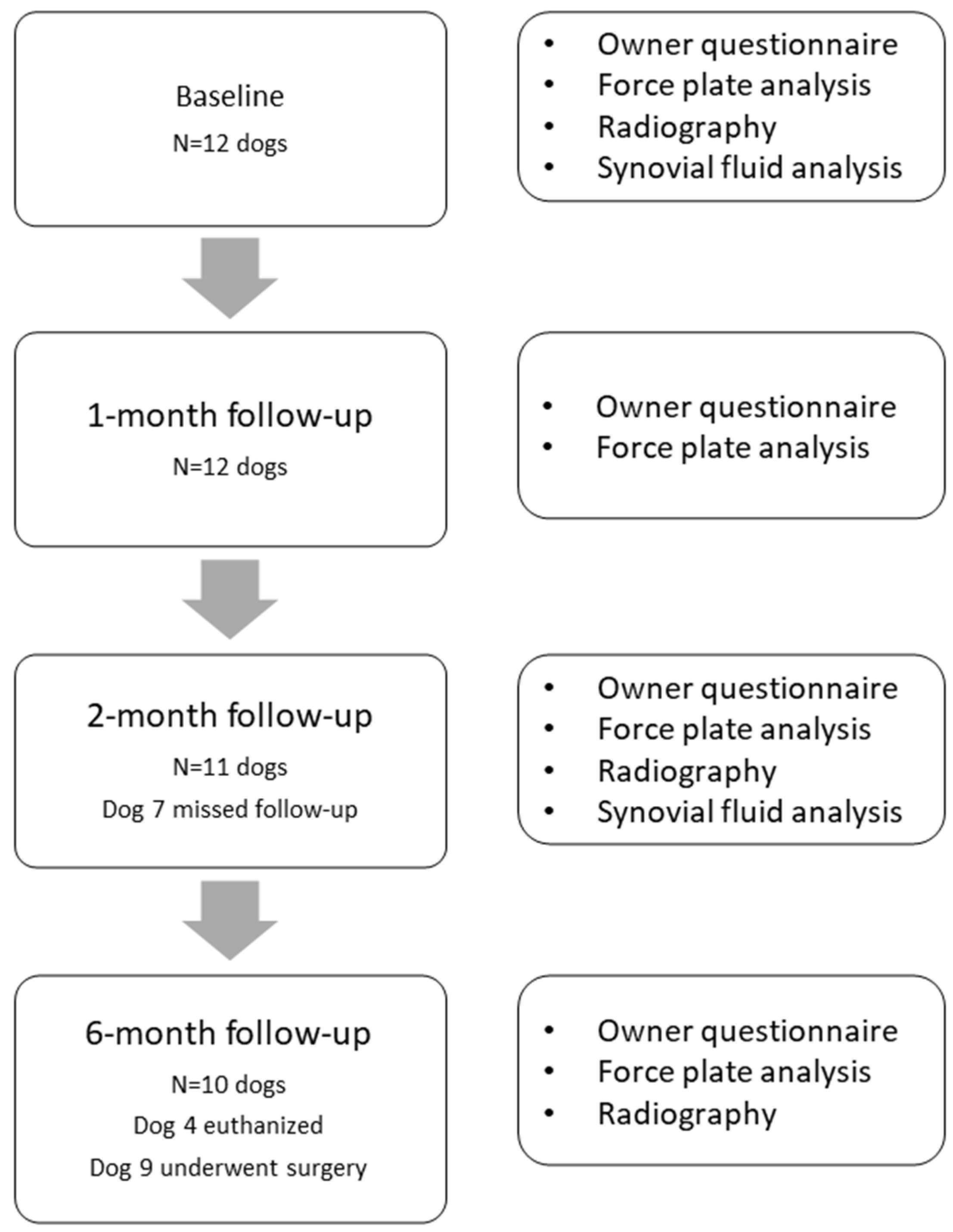 Pharmaceutics 13 00372 g002