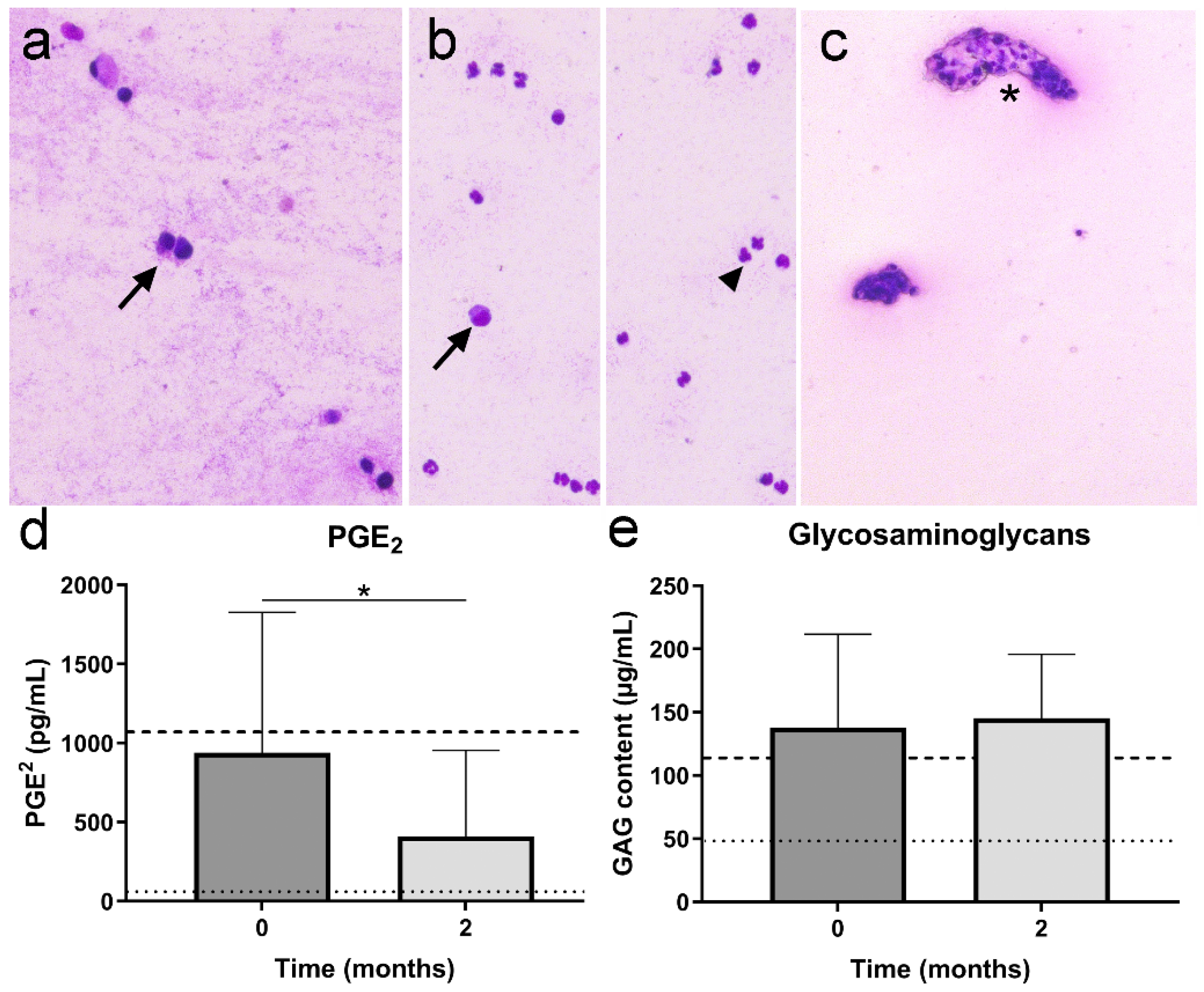 Pharmaceutics 13 00372 g006