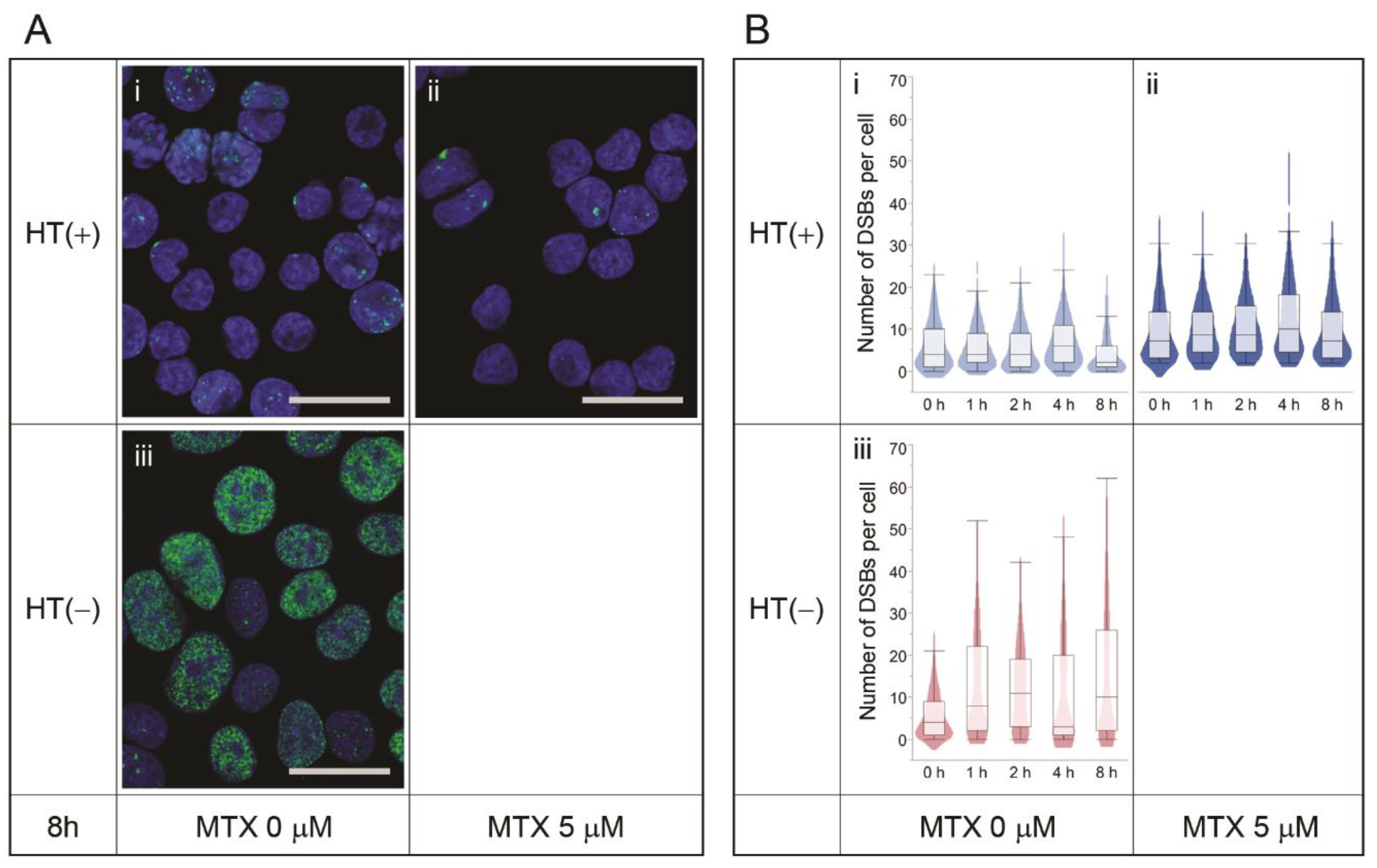 Pharmaceutics 13 00376 g004