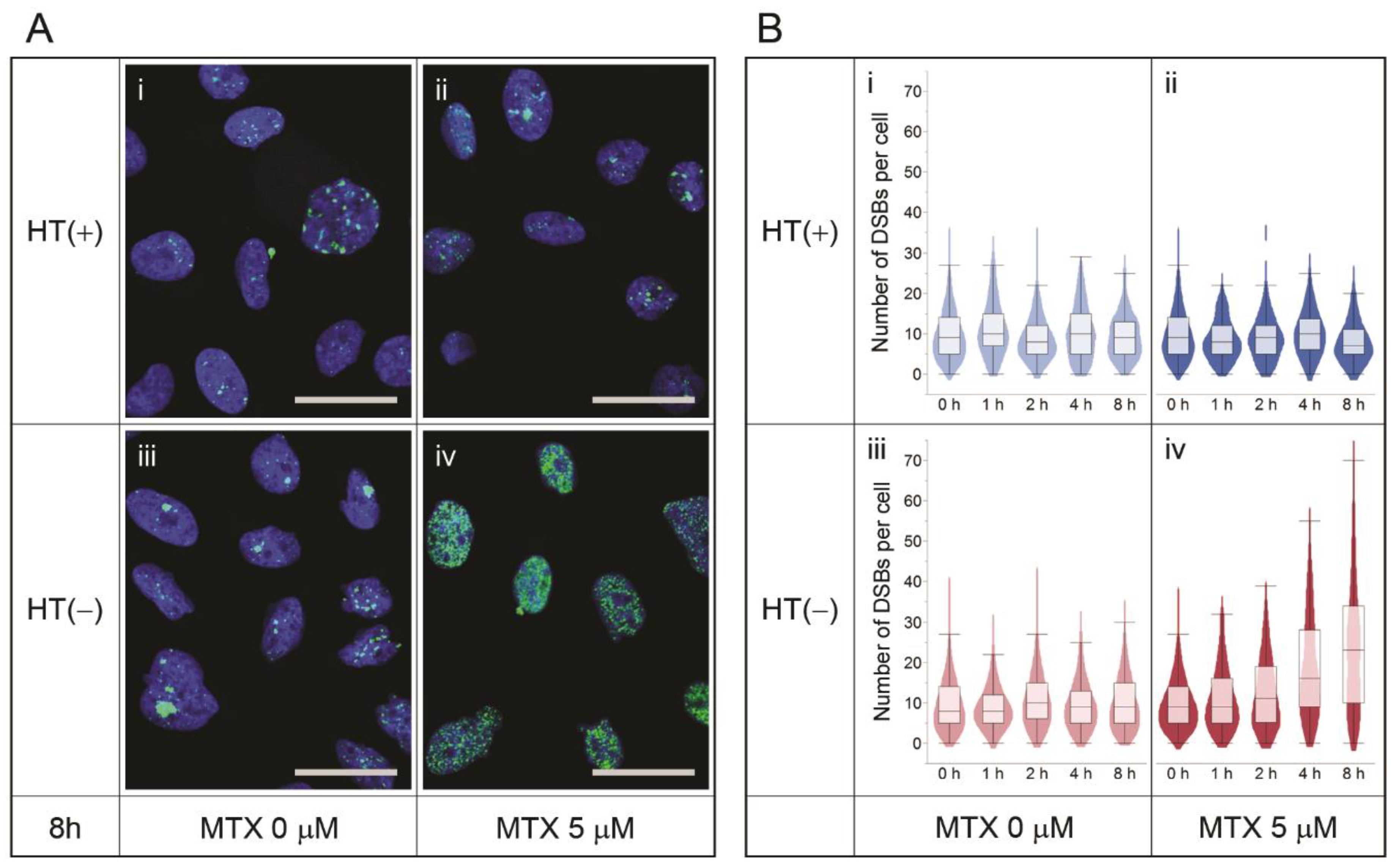 Pharmaceutics 13 00376 g005
