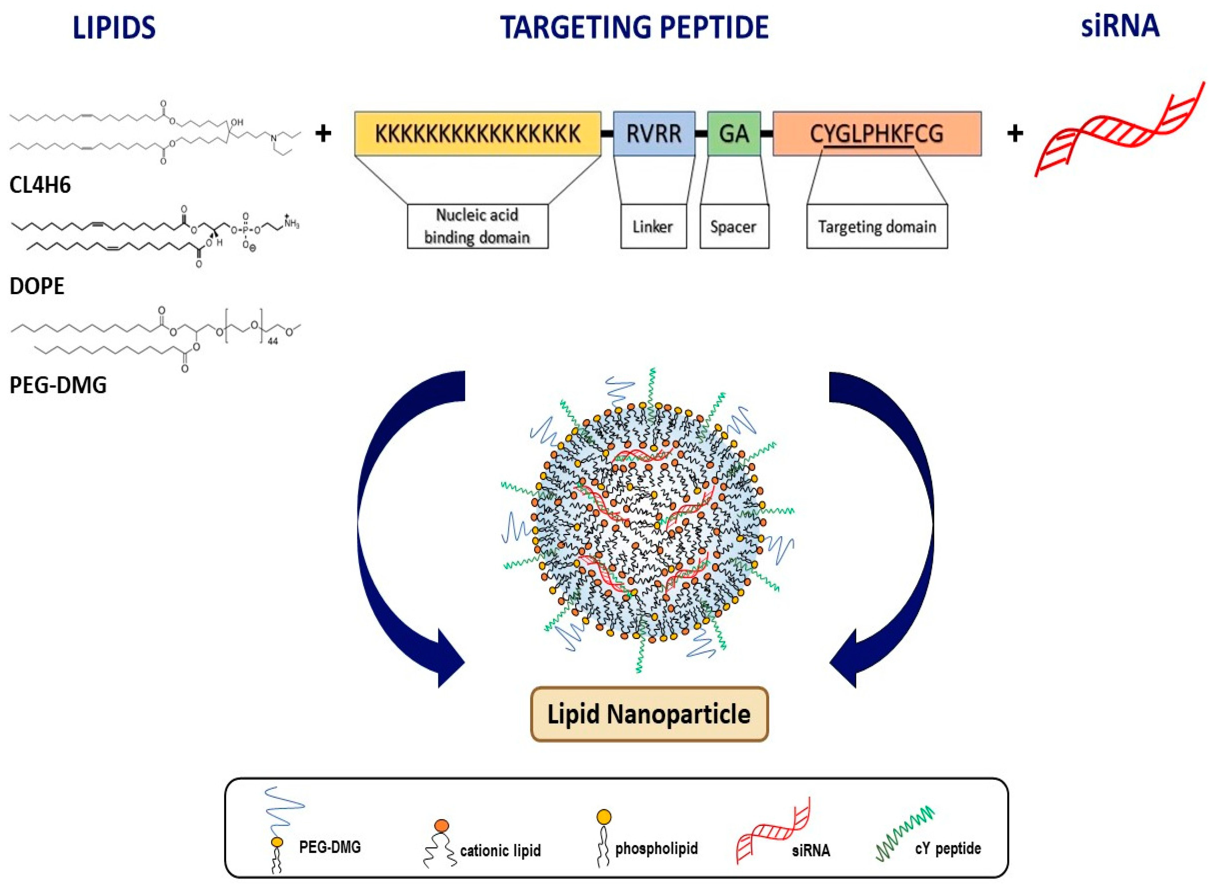 Pharmaceutics 13 00382 g001 Pharmaceutics 13 00382 g001
