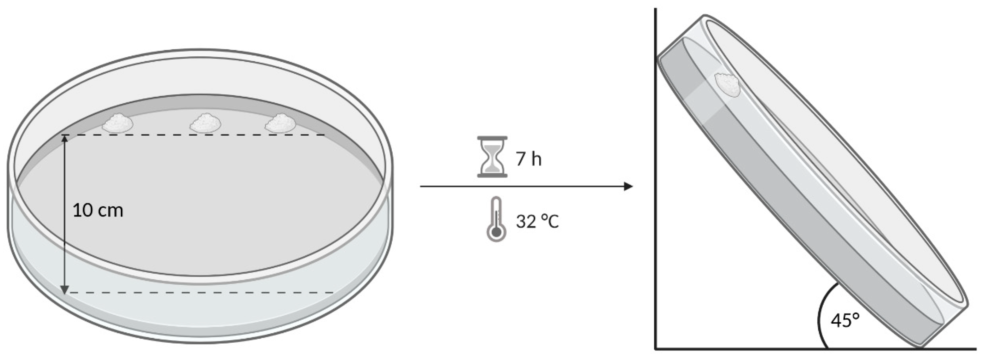 Pharmaceutics 13 00385 g001 Pharmaceutics 13 00385 g001