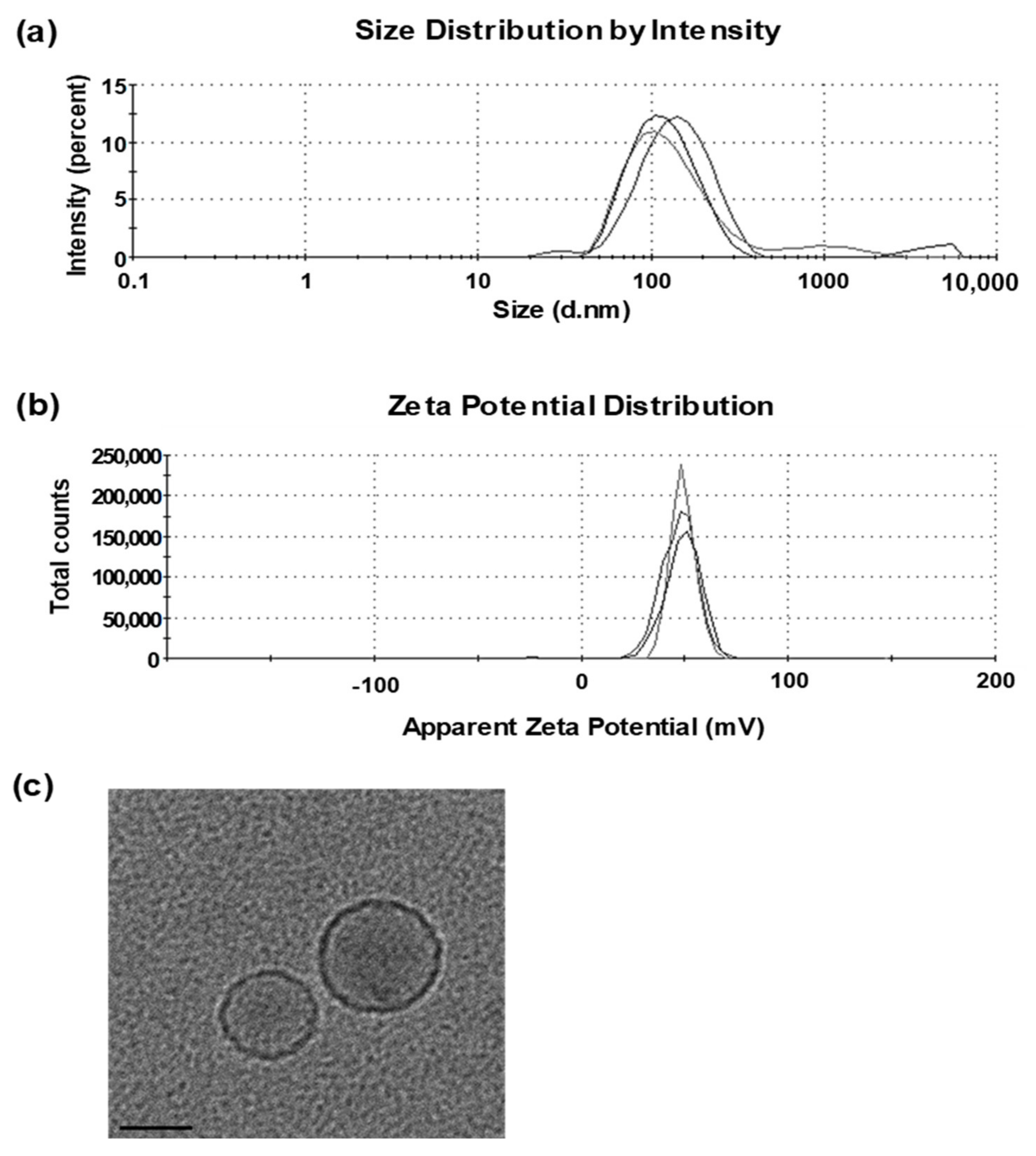 Pharmaceutics 13 00390 g001