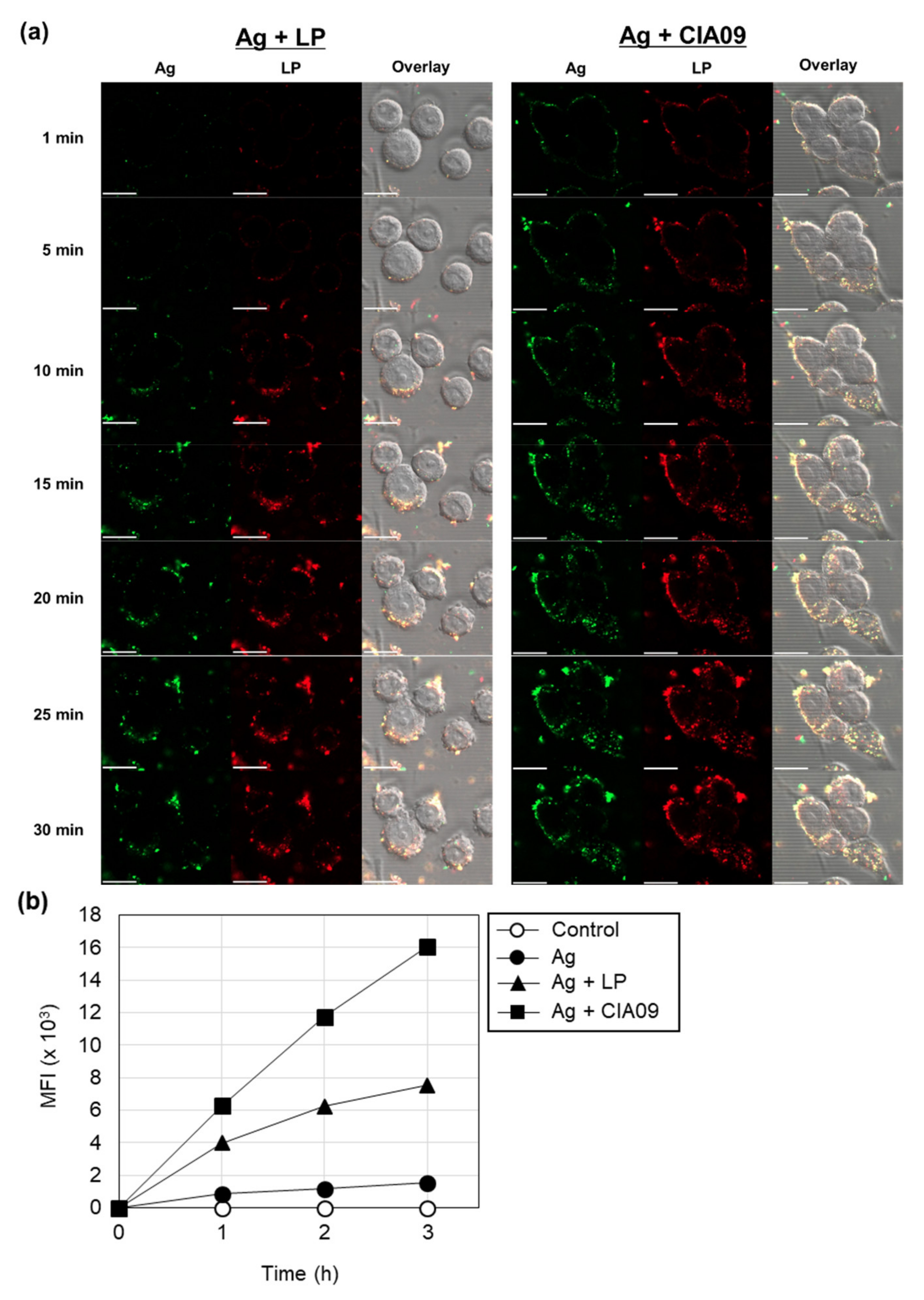 Pharmaceutics 13 00390 g005