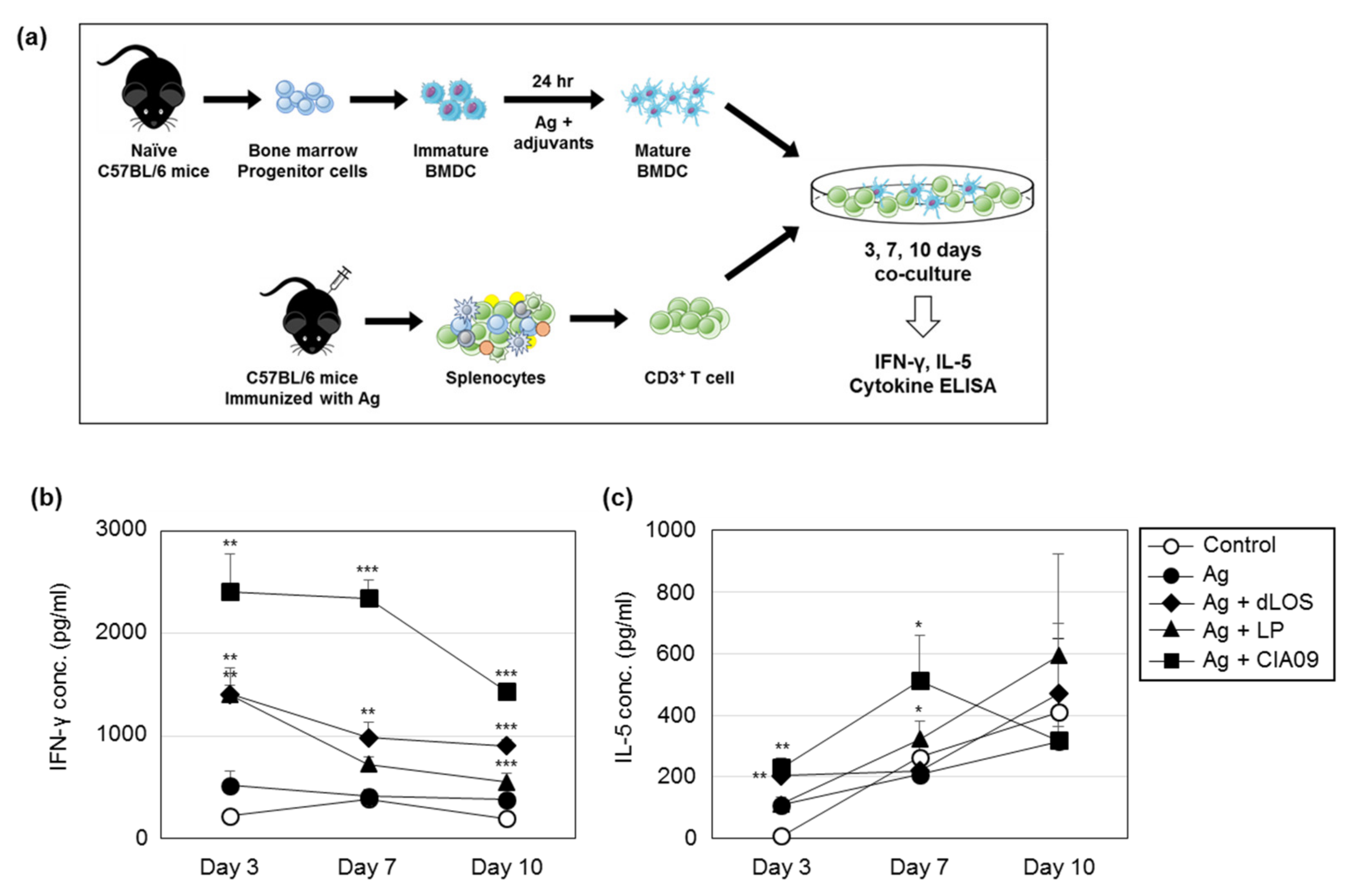 Pharmaceutics 13 00390 g011