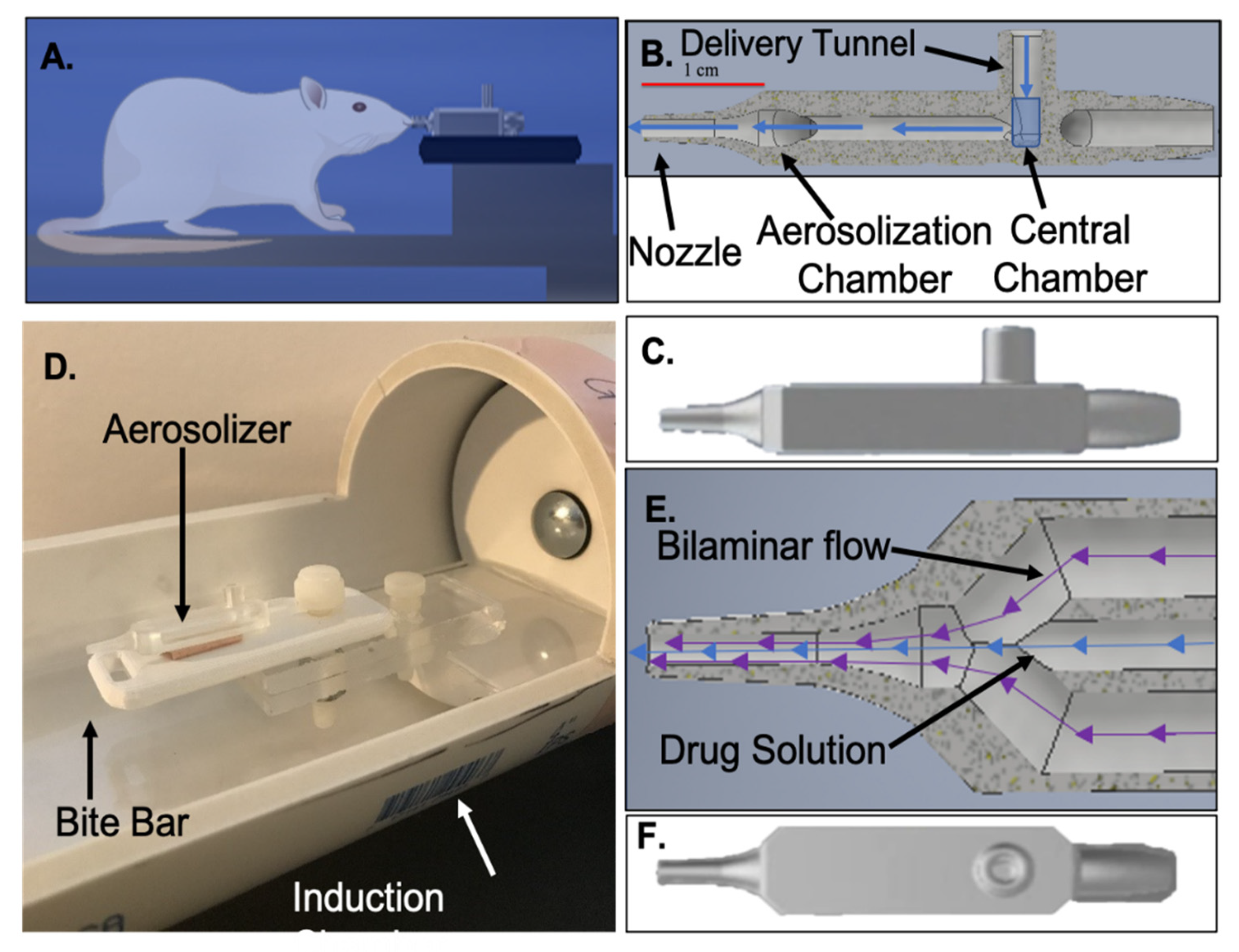 Pharmaceutics 13 00391 g003