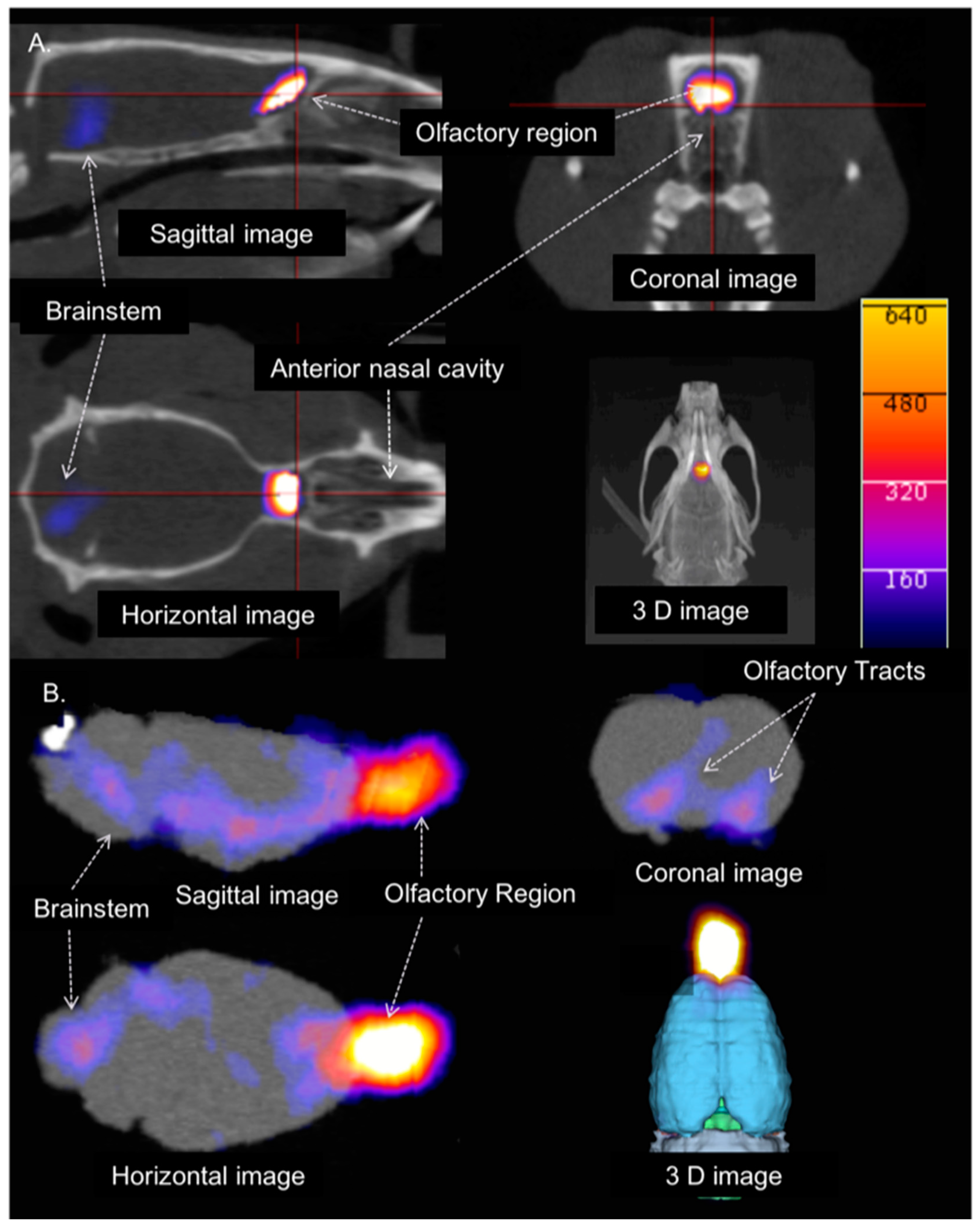 Pharmaceutics 13 00391 g005