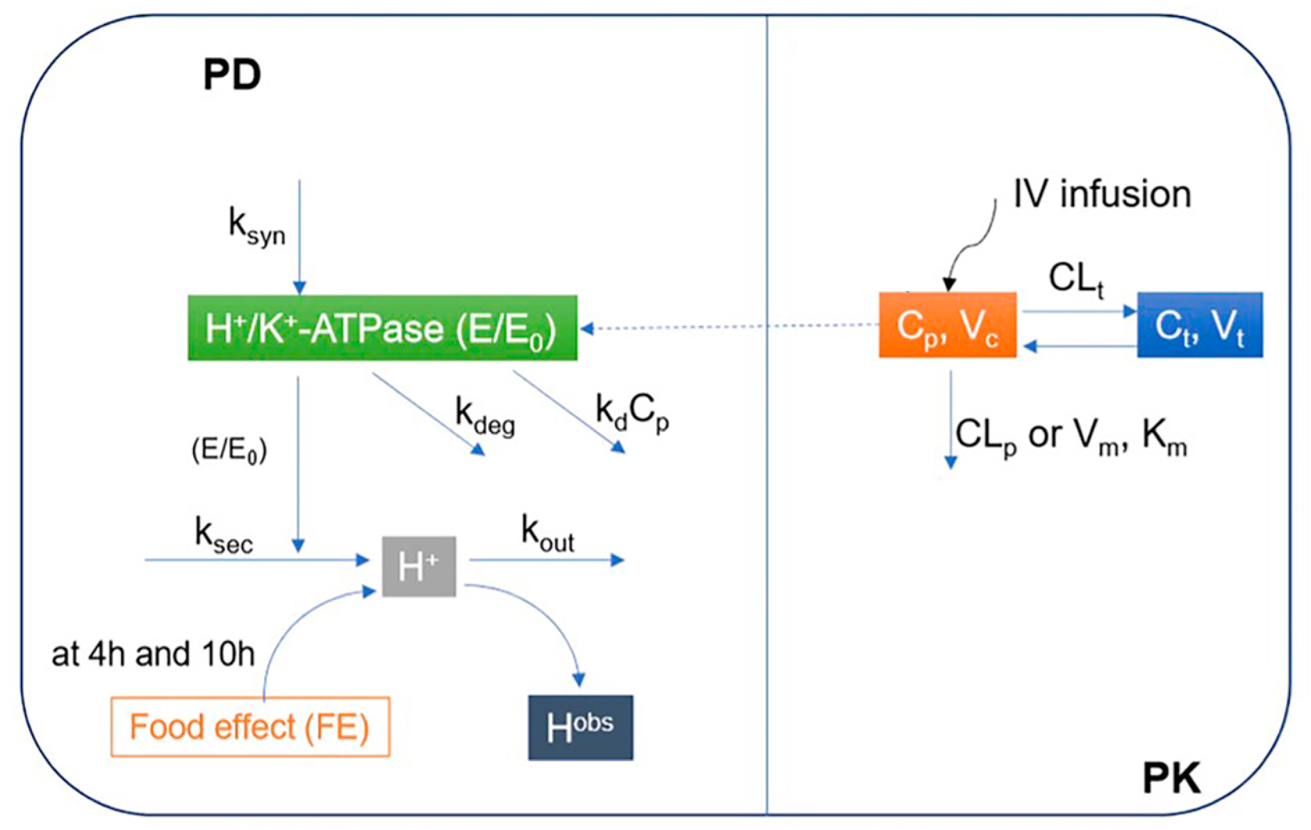 Pharmaceutics 13 00392 g001
