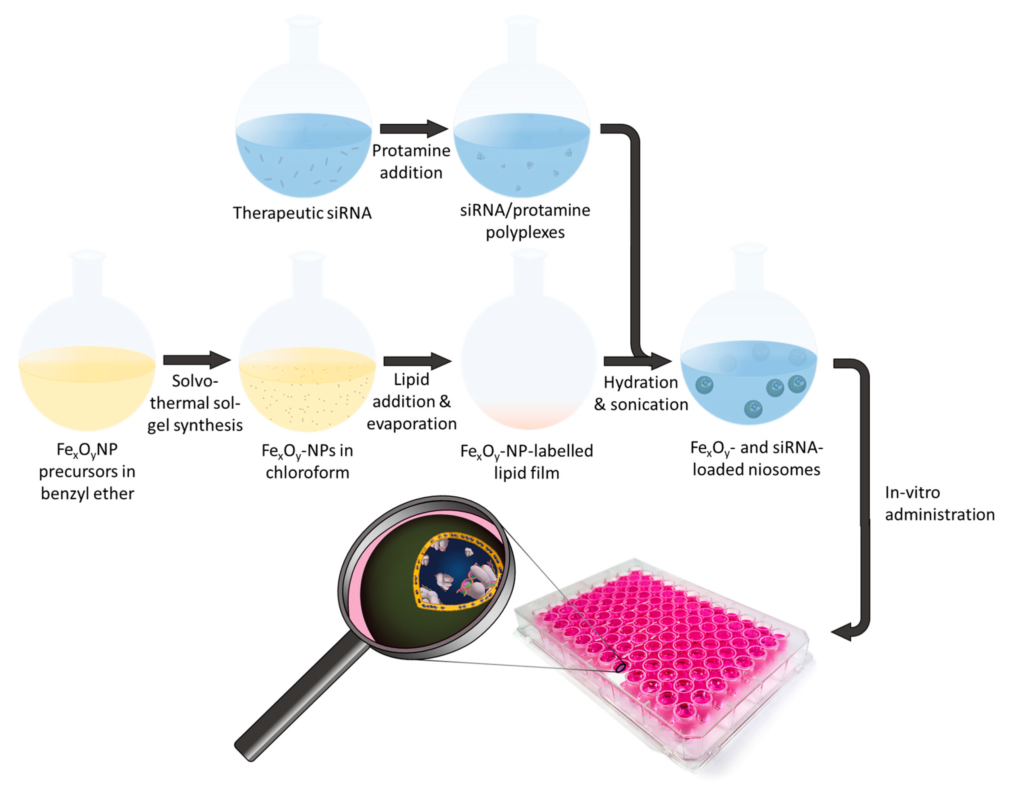 Pharmaceutics 13 00394 g001