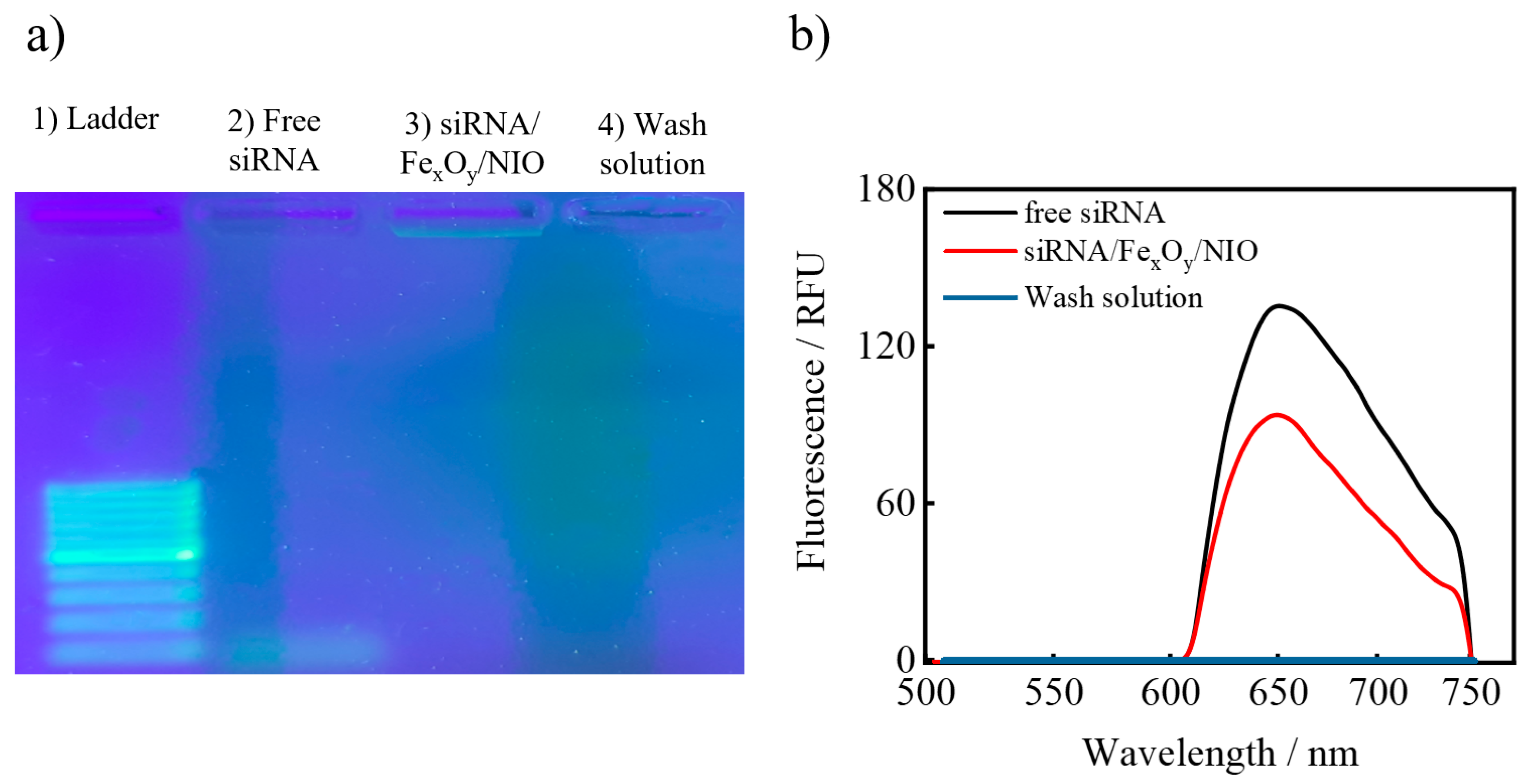 Pharmaceutics 13 00394 g004