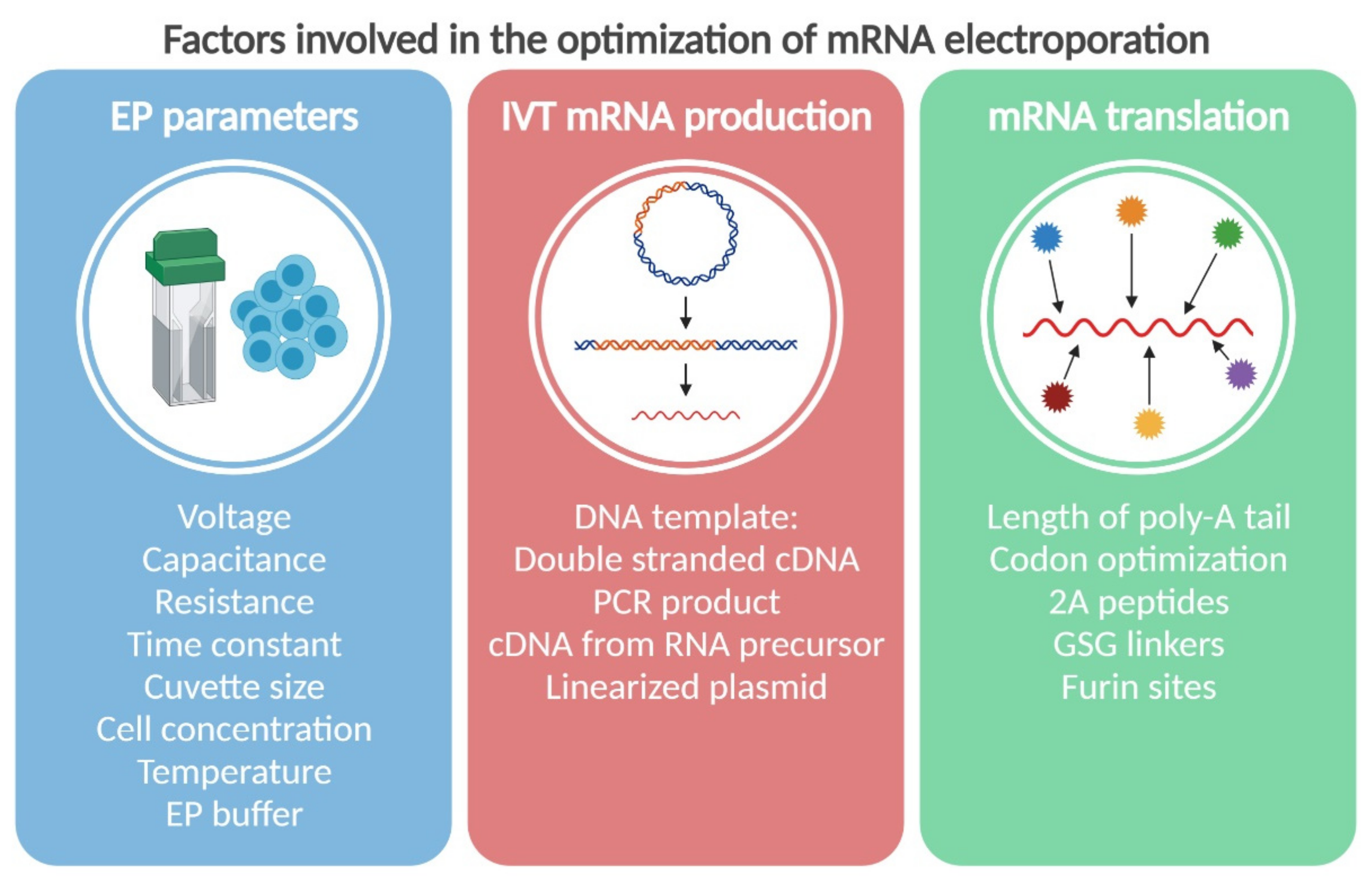 Pharmaceutics 13 00396 g001 Pharmaceutics 13 00396 g001