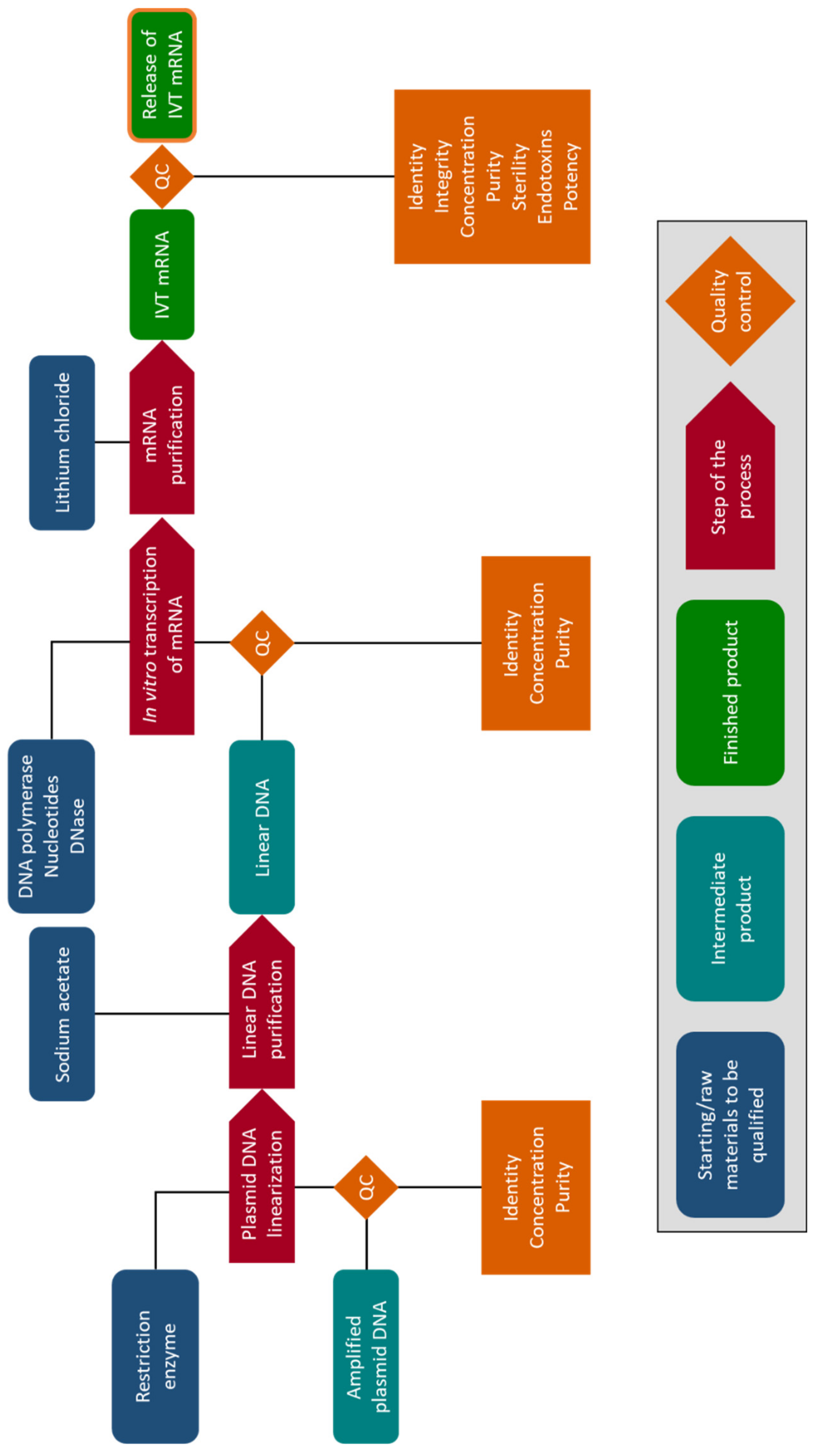 Pharmaceutics 13 00396 g004 Pharmaceutics 13 00396 g004