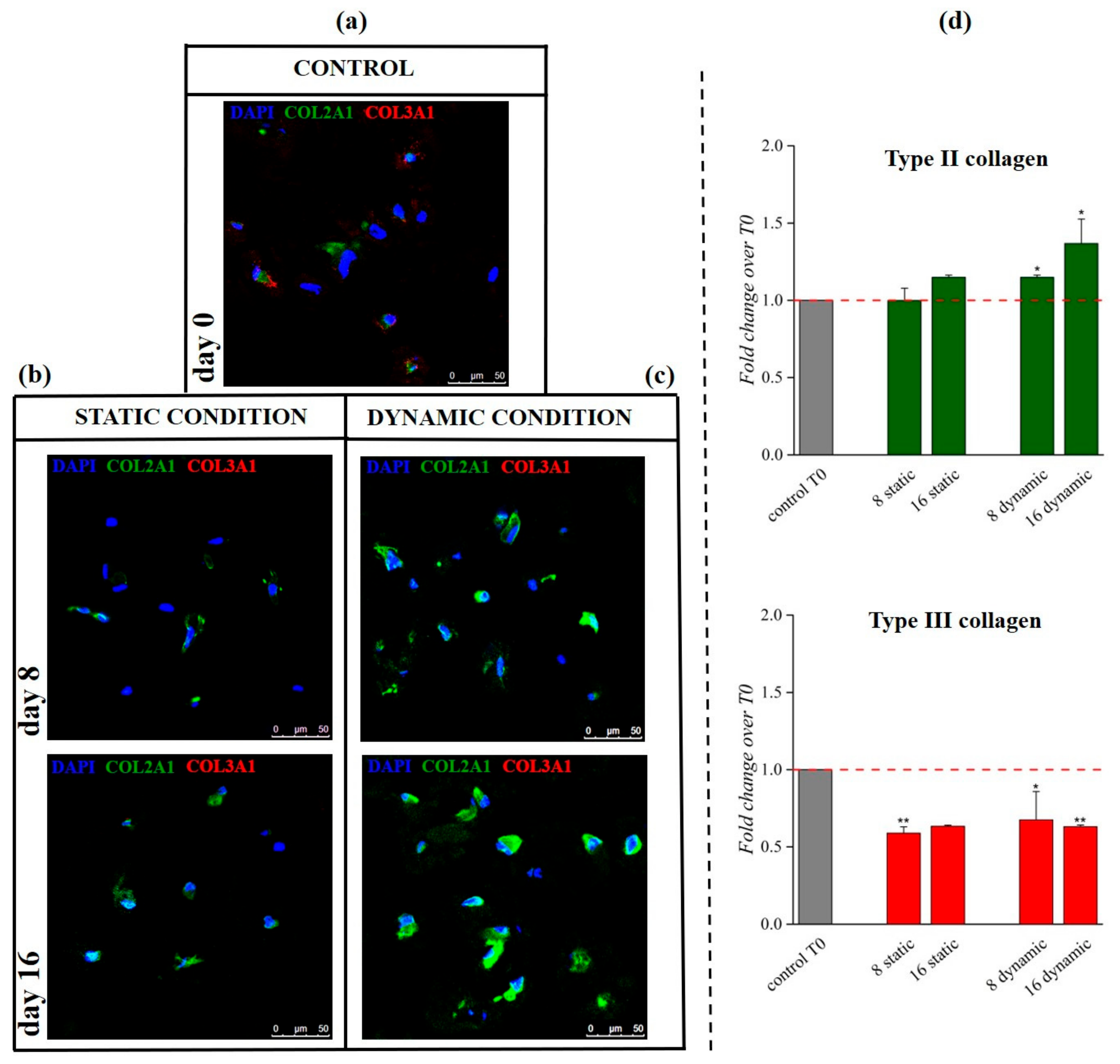 Pharmaceutics 13 00399 g008