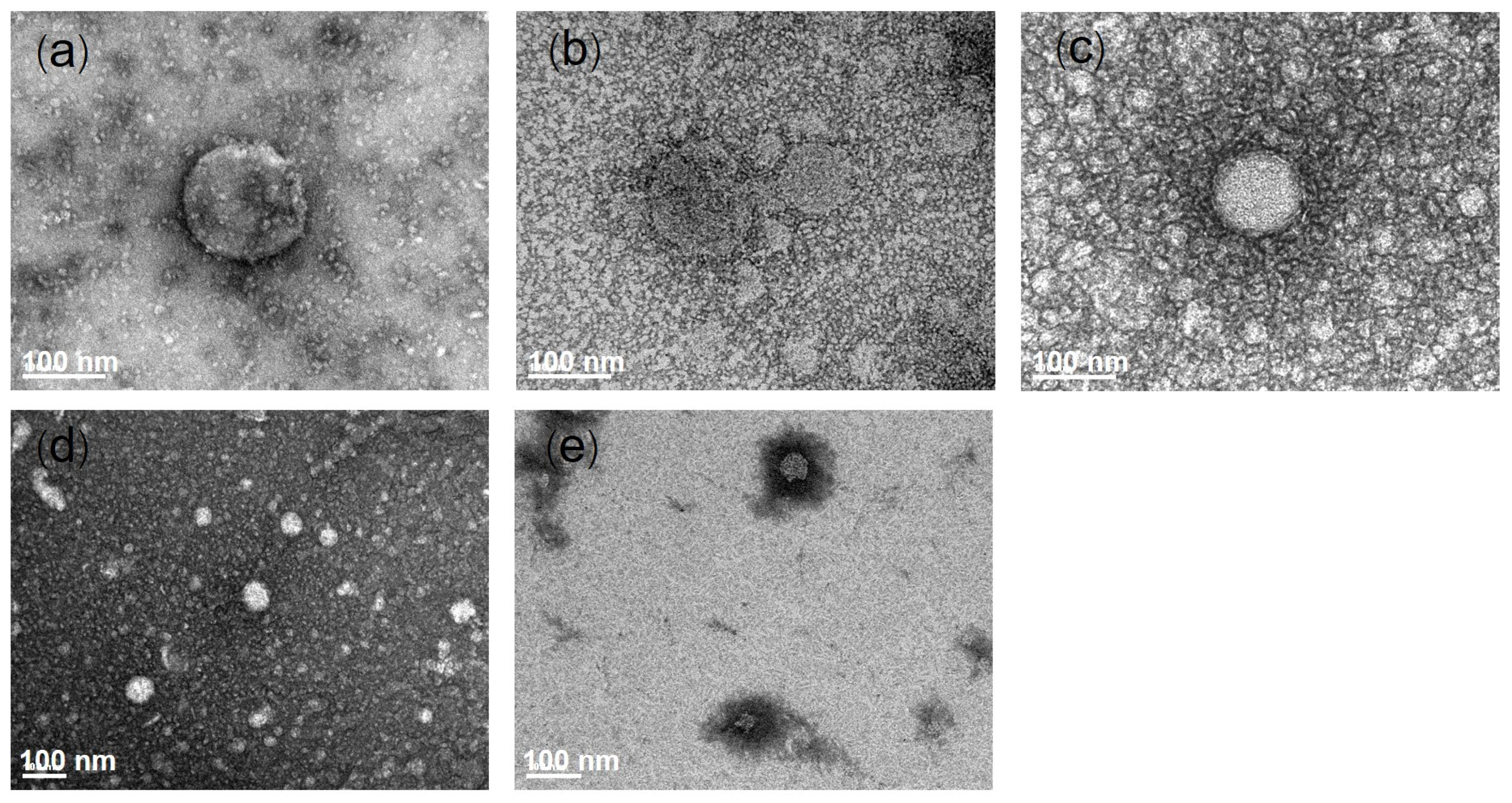 Pharmaceutics 13 00404 g001