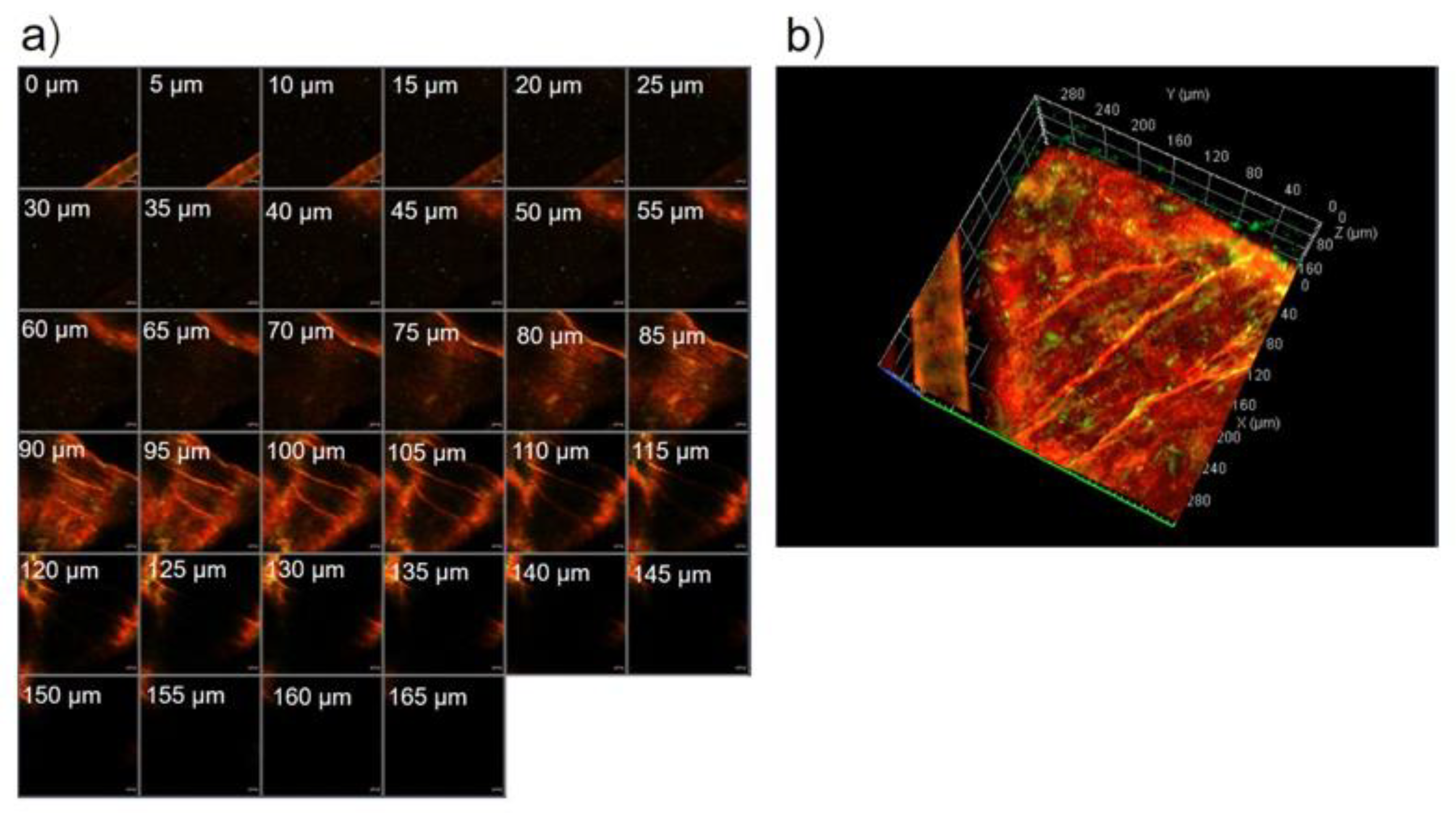 Pharmaceutics 13 00404 g004