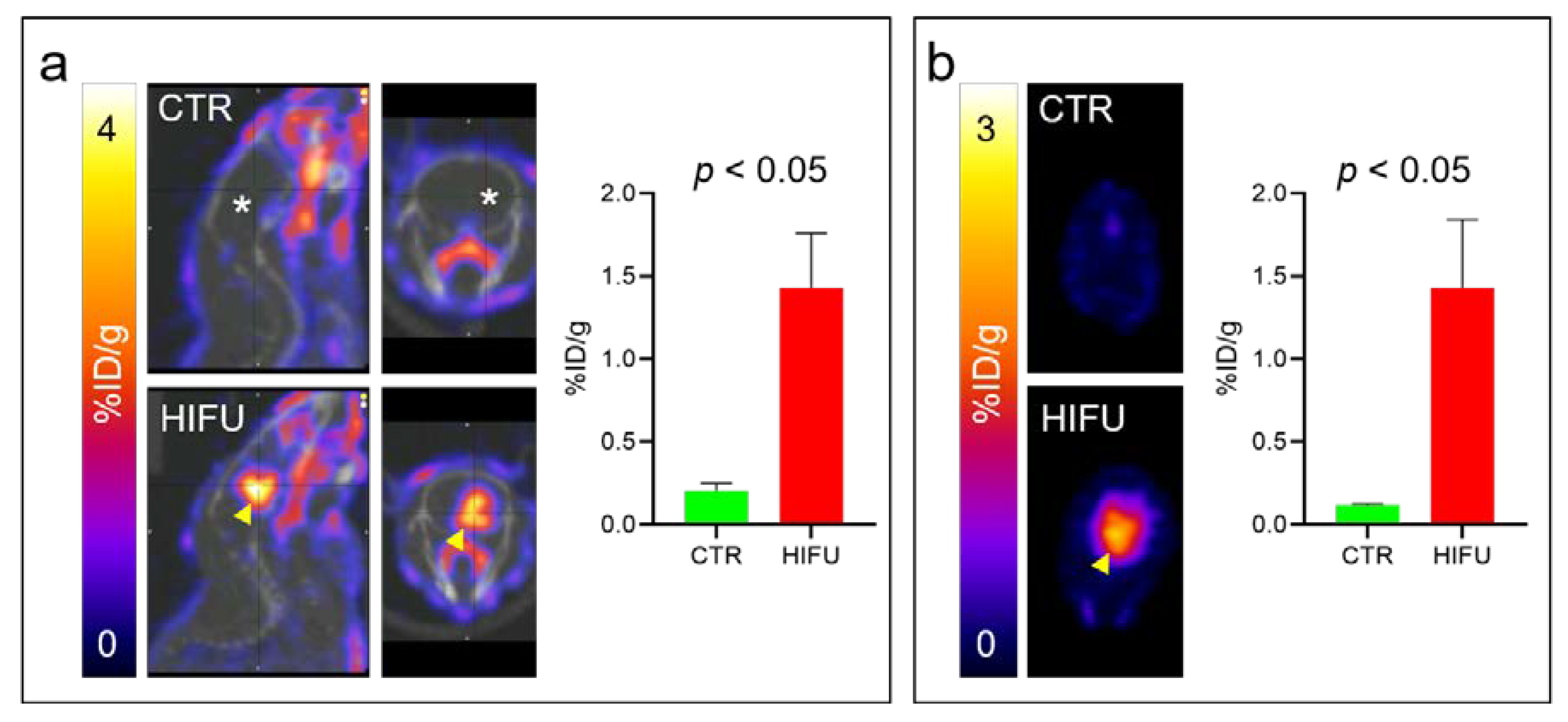 Pharmaceutics 13 00405 g002
