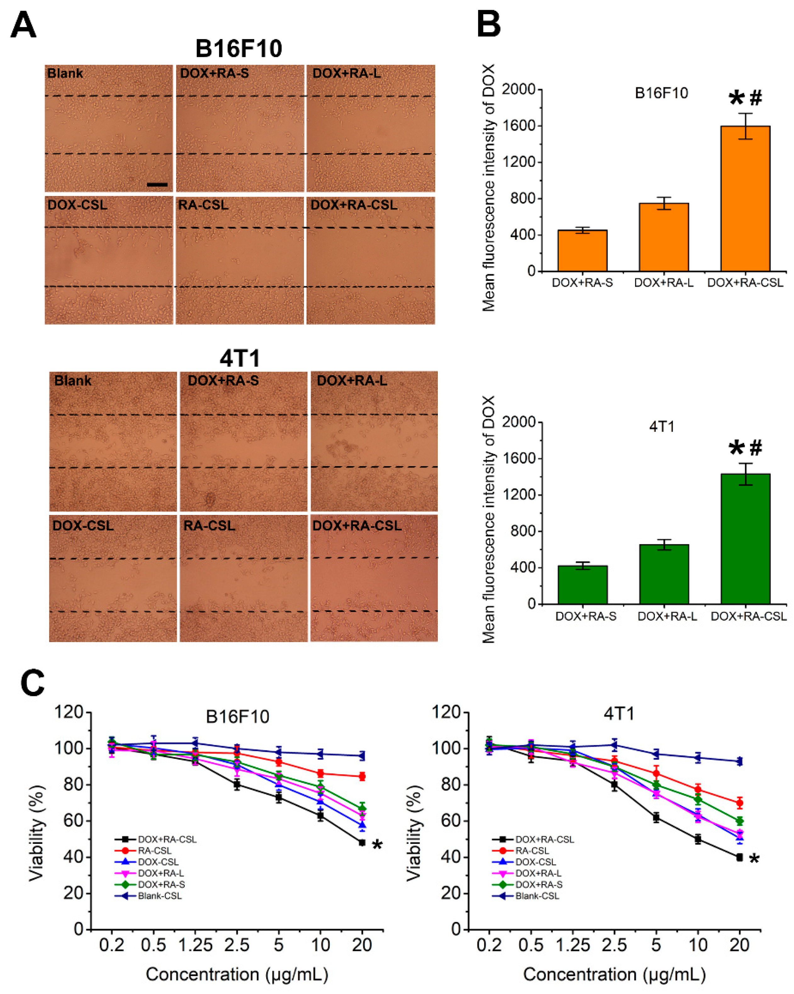 Pharmaceutics 13 00406 g002